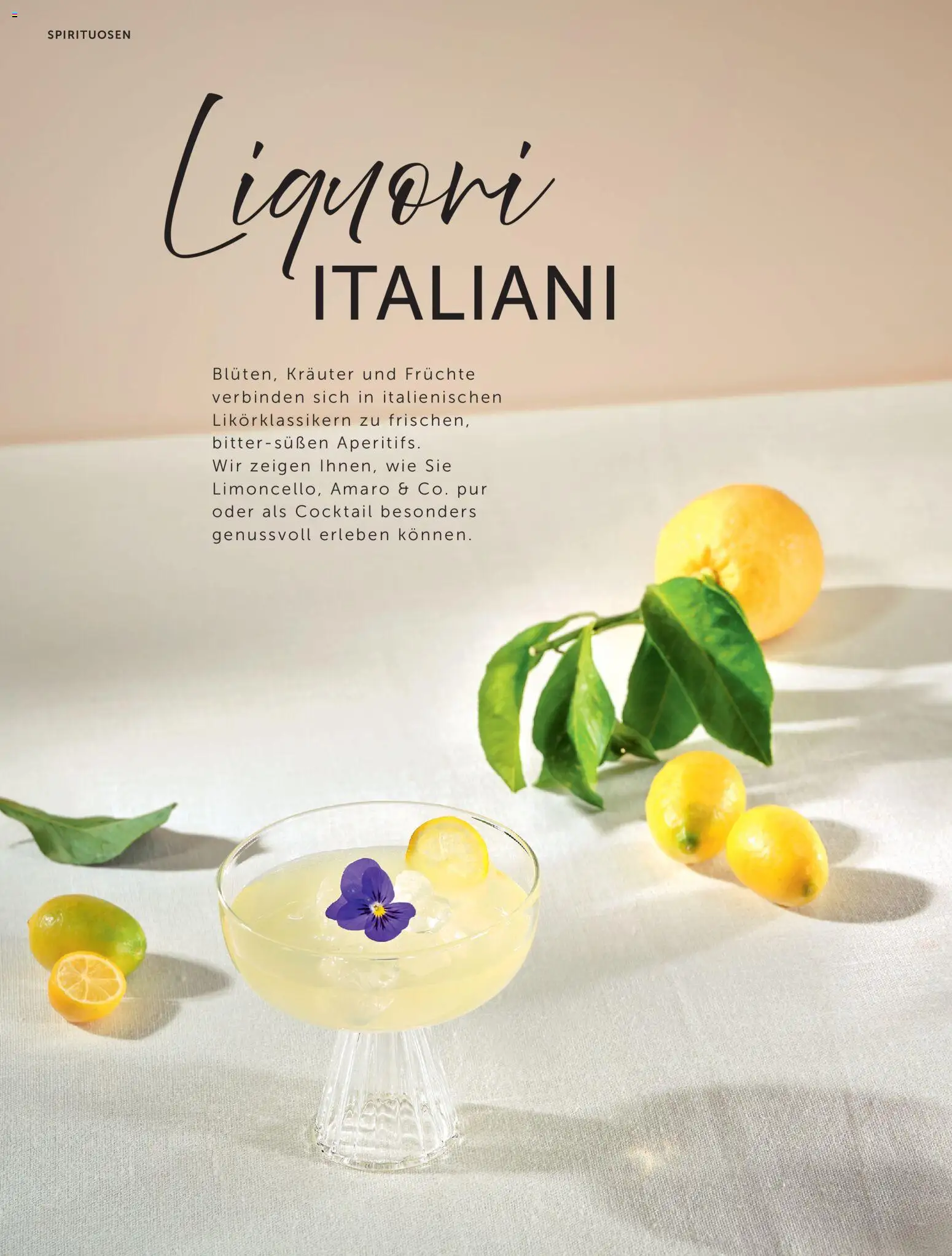 Interspar Meine Weinwelt Frühling 2026 gültig ab 05.03.2026 | Seite: 50