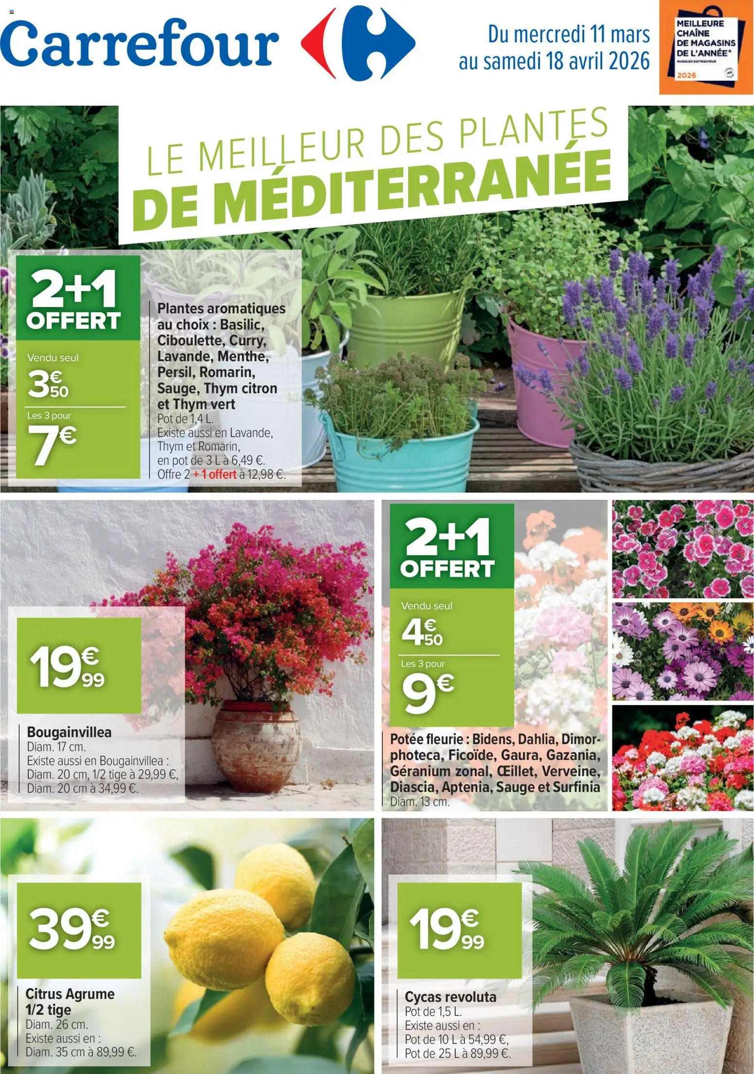 {H1} | Page: 1 | Produits: Citron, Plantes, Géranium