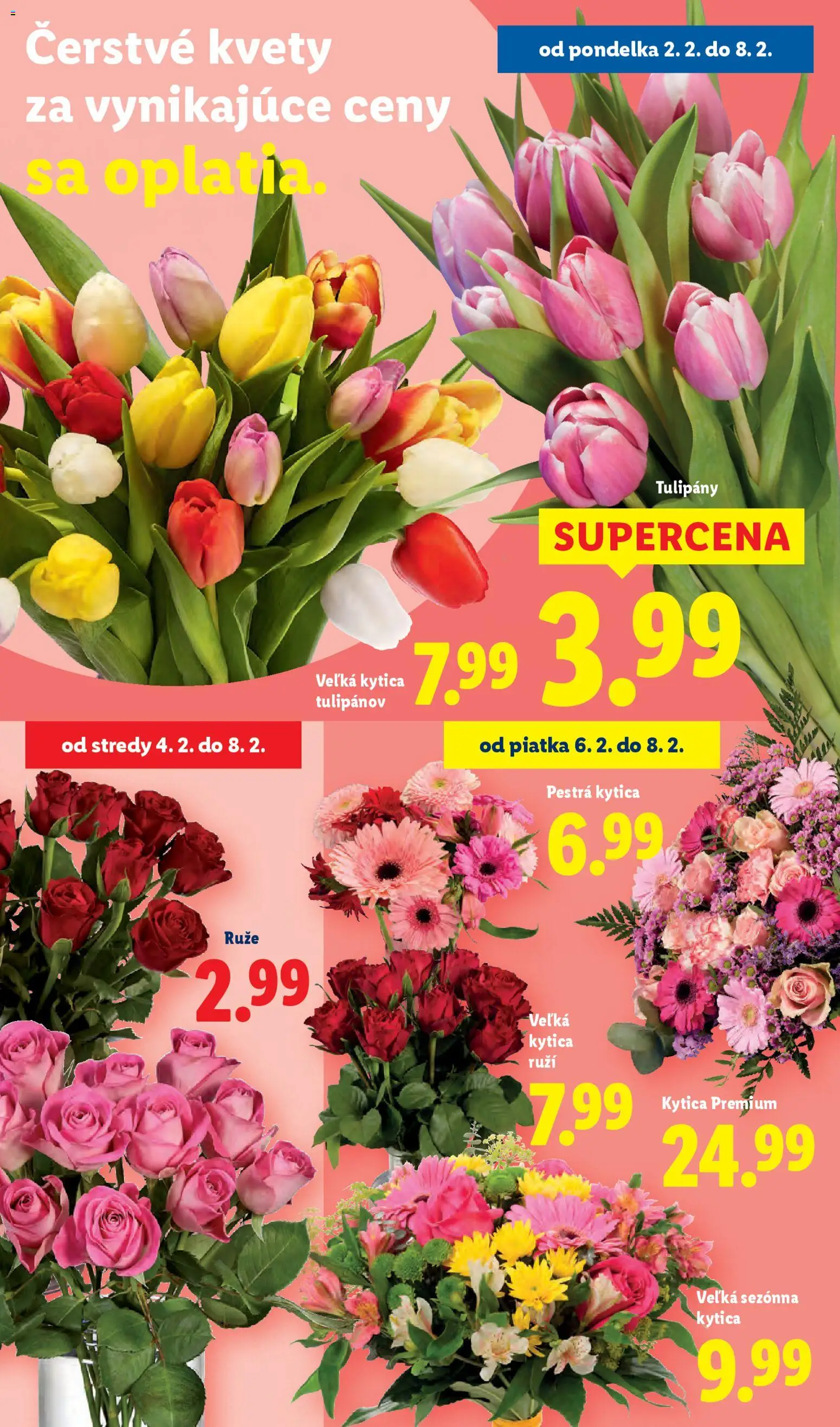 Nové Lidl akcie – leták je platný od 02.02.2026 | Strana: 36 | Produkty: Kvety, Tulipány, Ruže