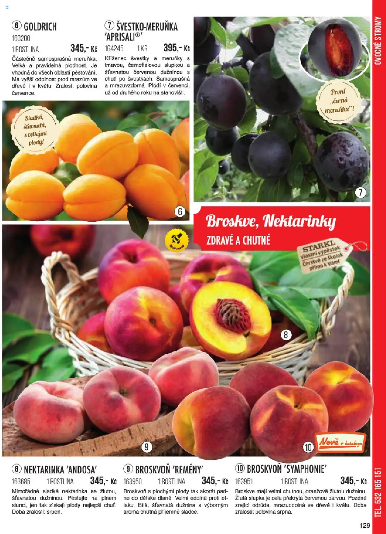 Starkl katalog jaro 2024 od 06.01.2025 | Strana: 129 | Produkty: Švestky, Nektarinky, Broskve, Meruňky