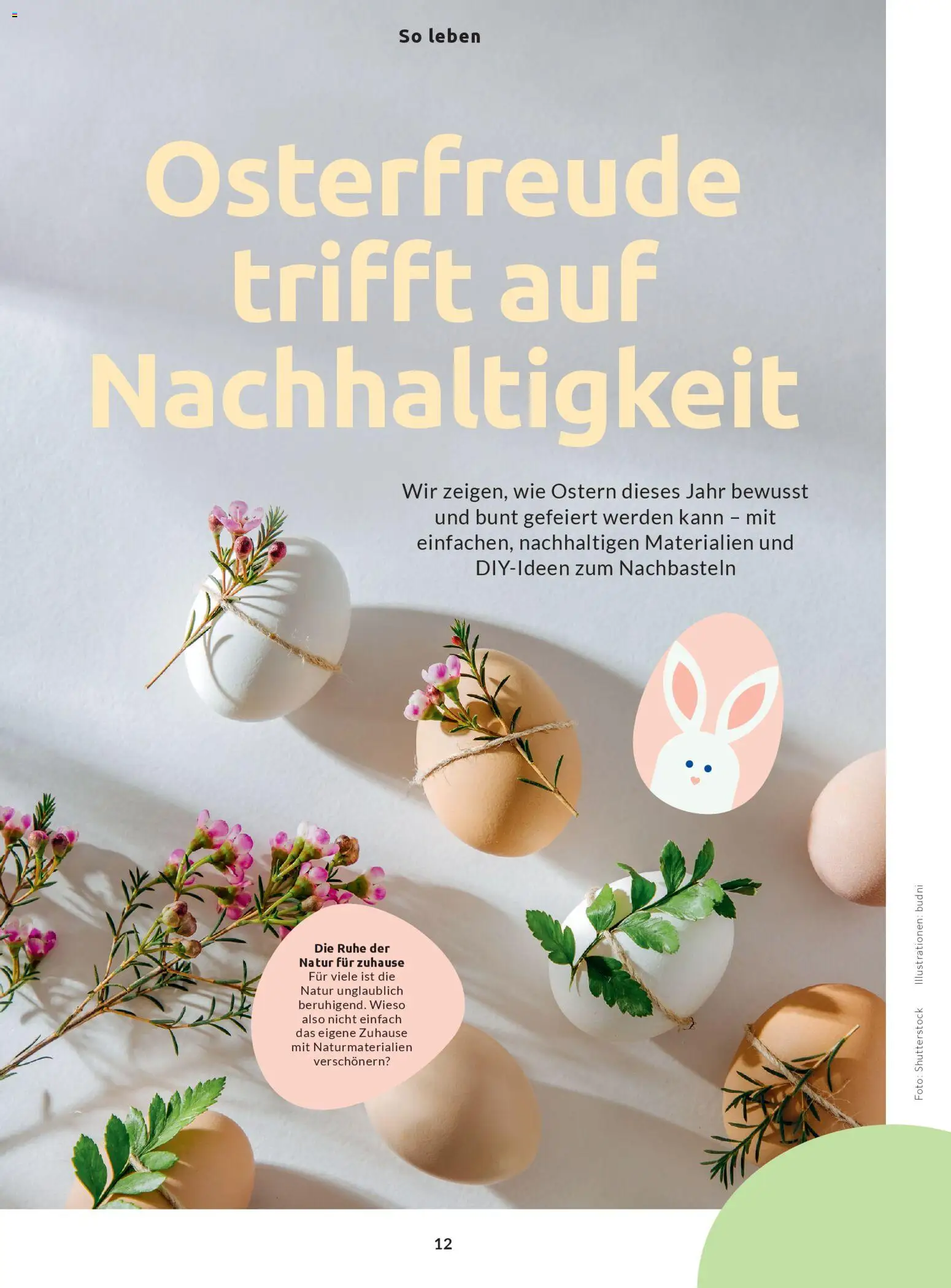 Budni Perle Magazin 02/26 – gültig ab 25.02.2026 | Seite: 12