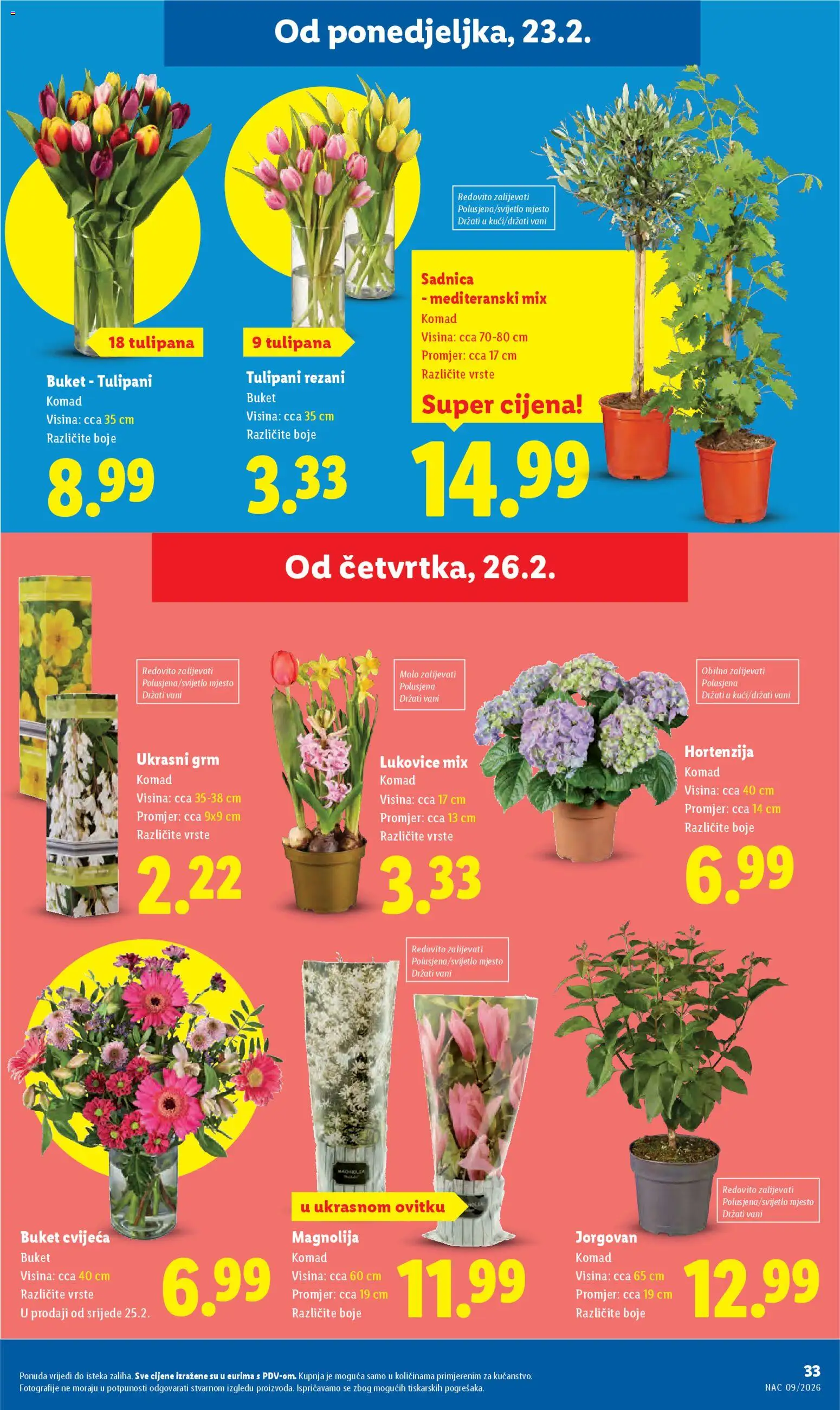 Lidl katalog | vrijedi od 19.02.2026 | Stranica: 33