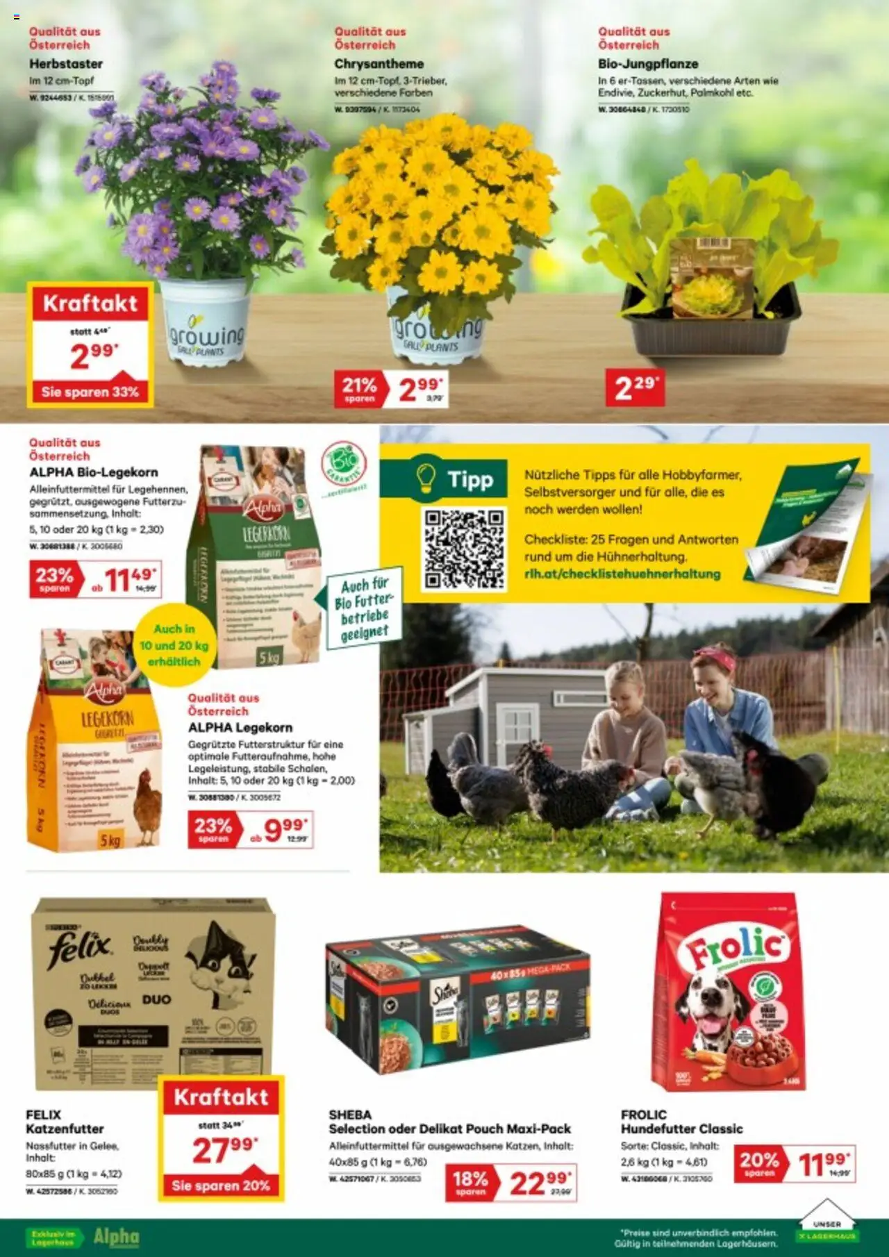 Lagerhaus Flugblatt gültig ab 05.08.2025 | Seite: 3 | Produkte: Balles de ping-pong