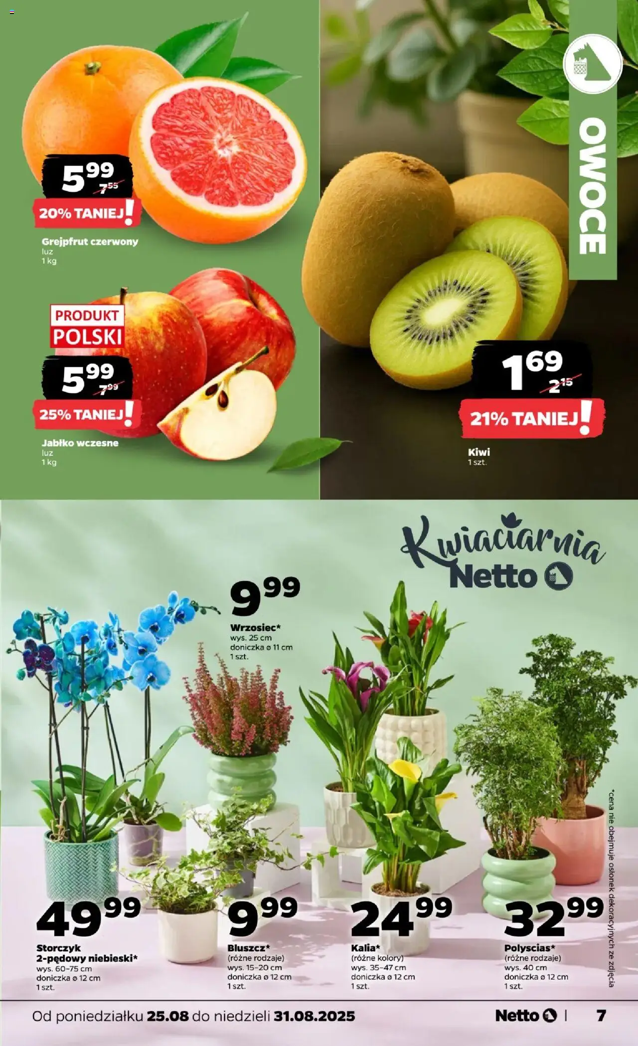 Netto gazetka - Spożywcza od 25.08.2025 | Strona: 7 | Produkty: Doniczka, Storczyk, Grejpfrut, Owoce