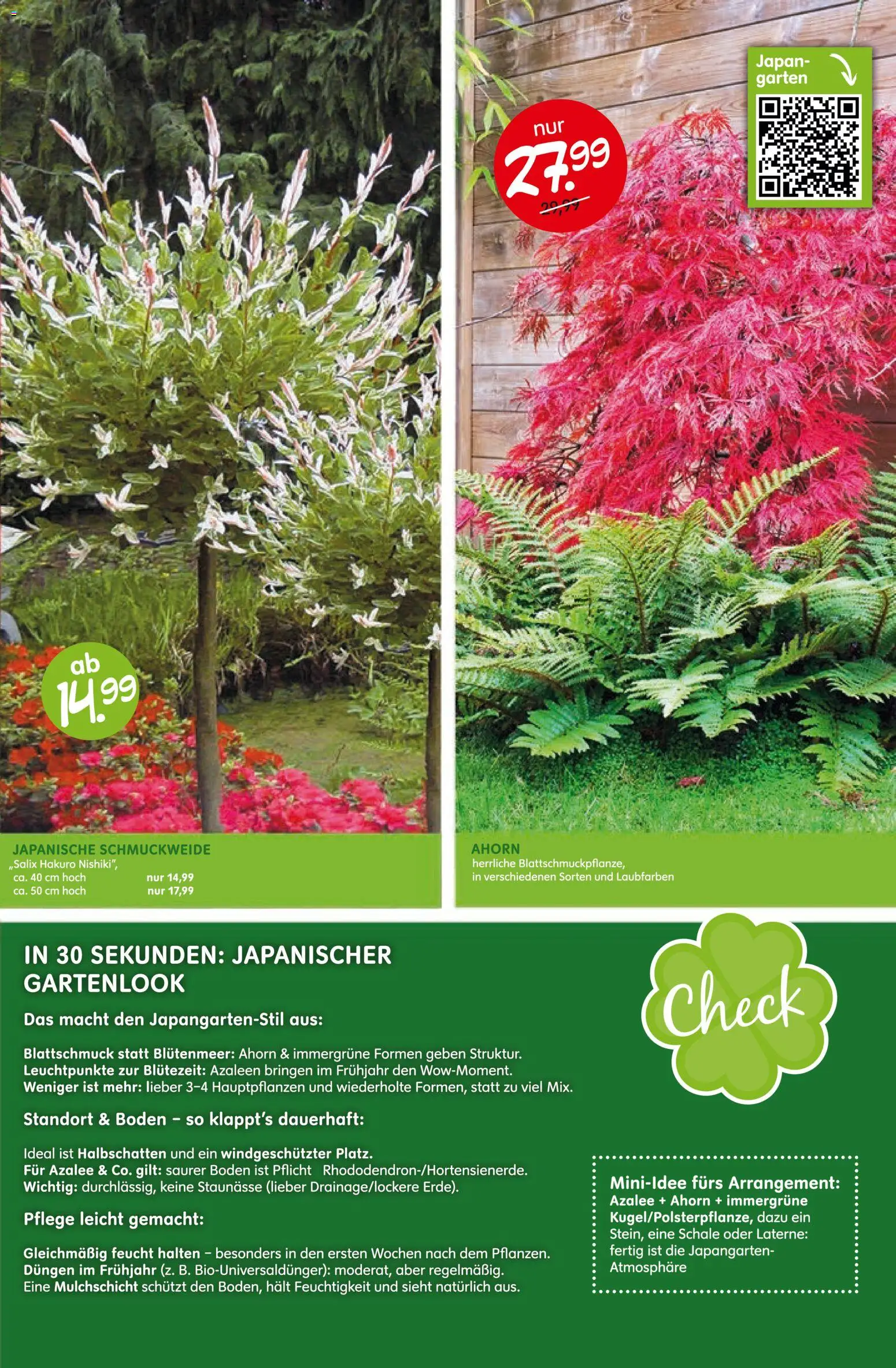 Blumen Risse Prospekt Blumenmarkt – gültig ab 16.04.2026 | Seite: 13