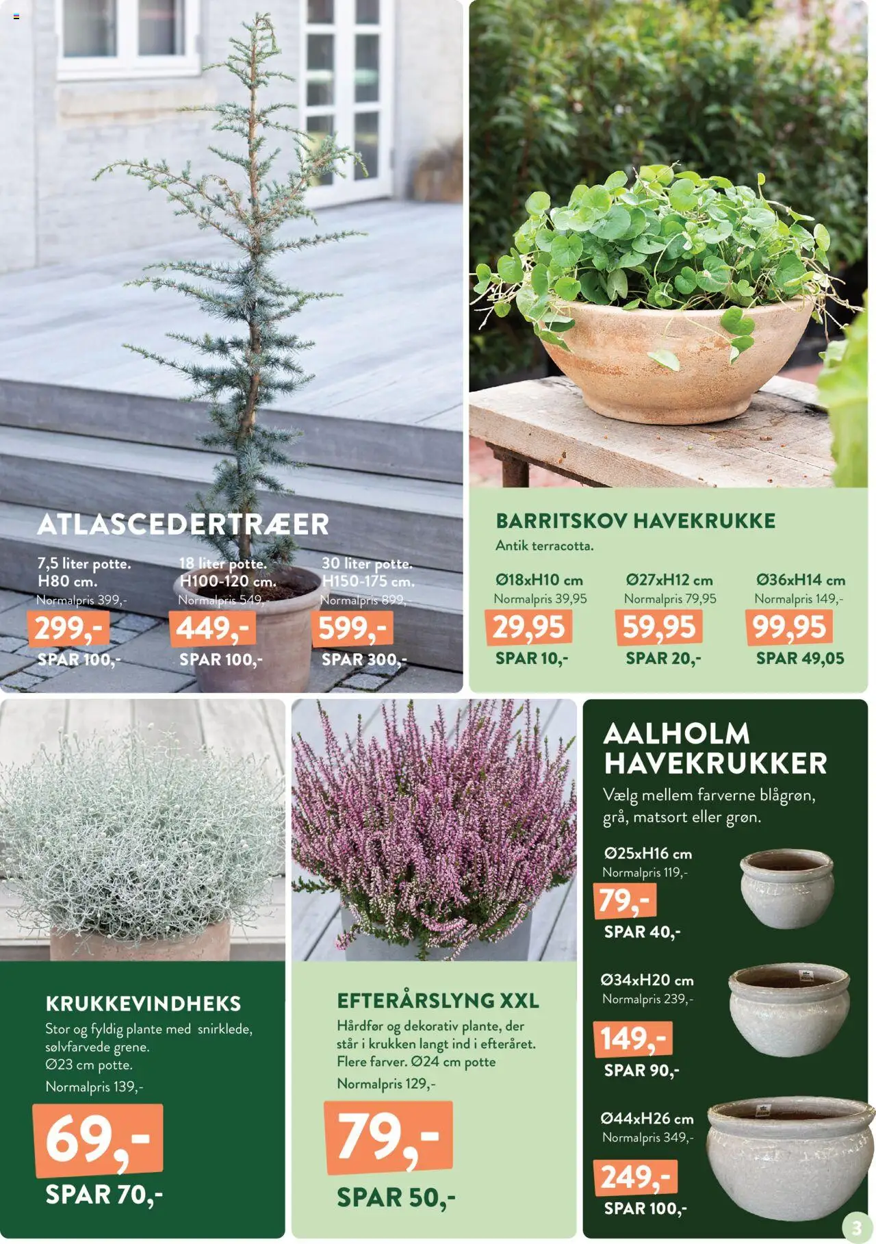 Plantorama tilbudsavis – gyldig fra 10.10.2025 | Side: 3