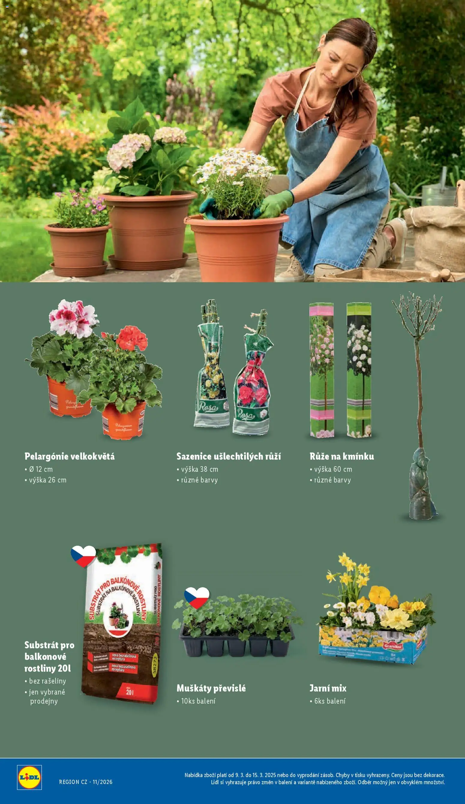 Lidl leták - Zahradní šuškanda od 24.02.2026 | Strana: 20 | Produkty: Muškáty, Substrát, Rostliny, Barvy