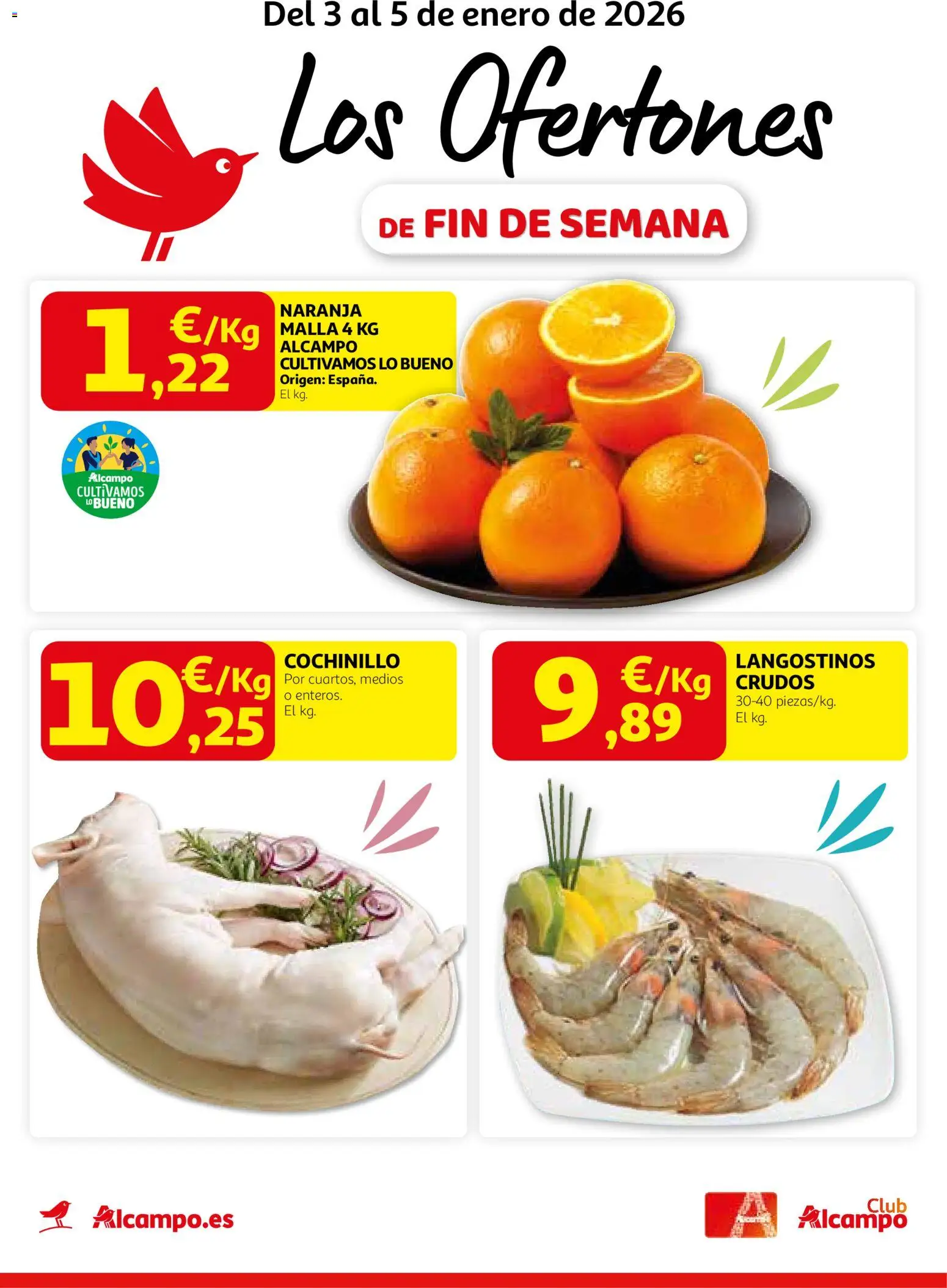 Alcampo - Pasamanos  │ válido desde el 03.01.2026 | Página: 1