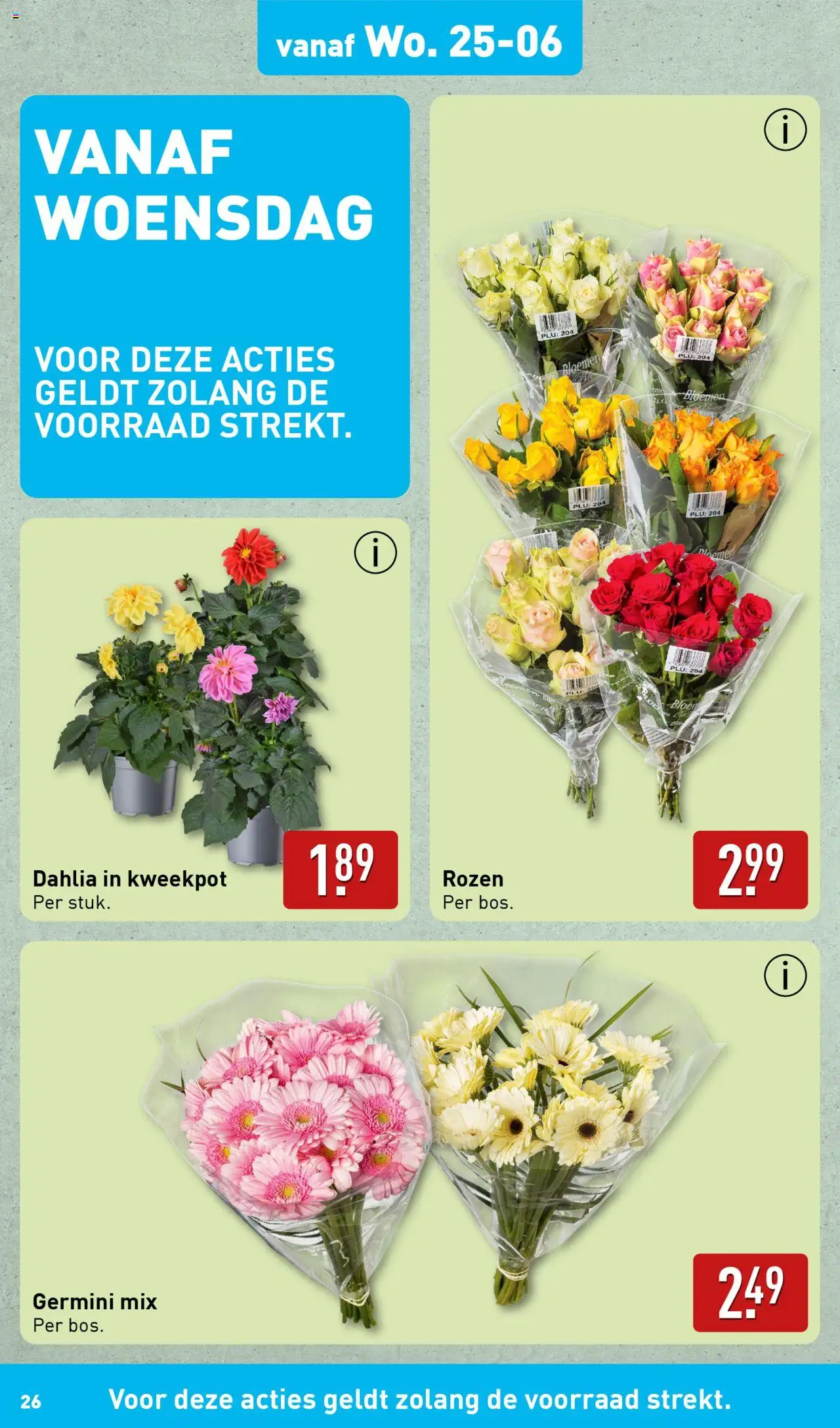  | Pagina: 26 | Producten: Bloemen