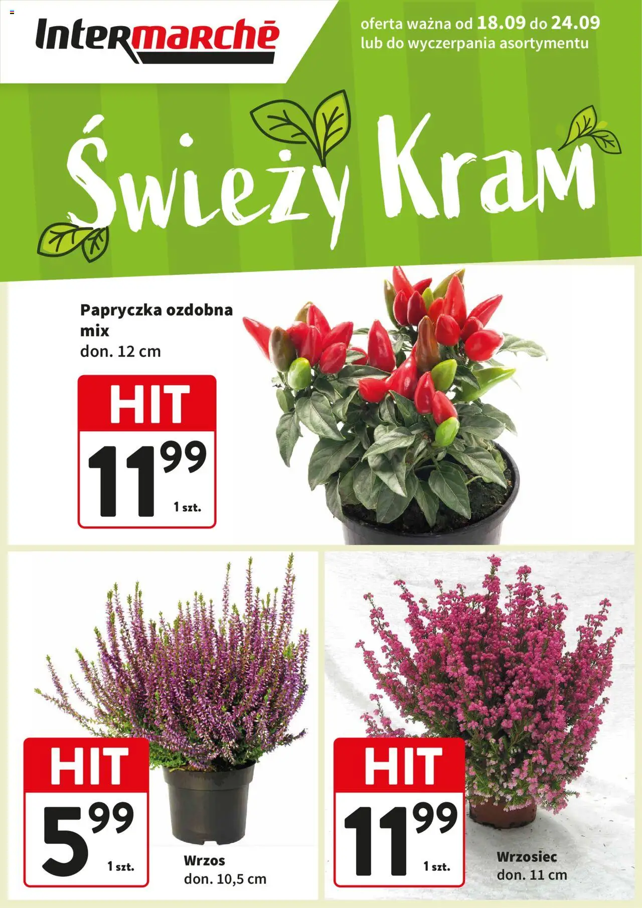 Intermarche Gazetka - Świeży Hit od 18.09.2025 | Strona: 1 | Produkty: Wrzos