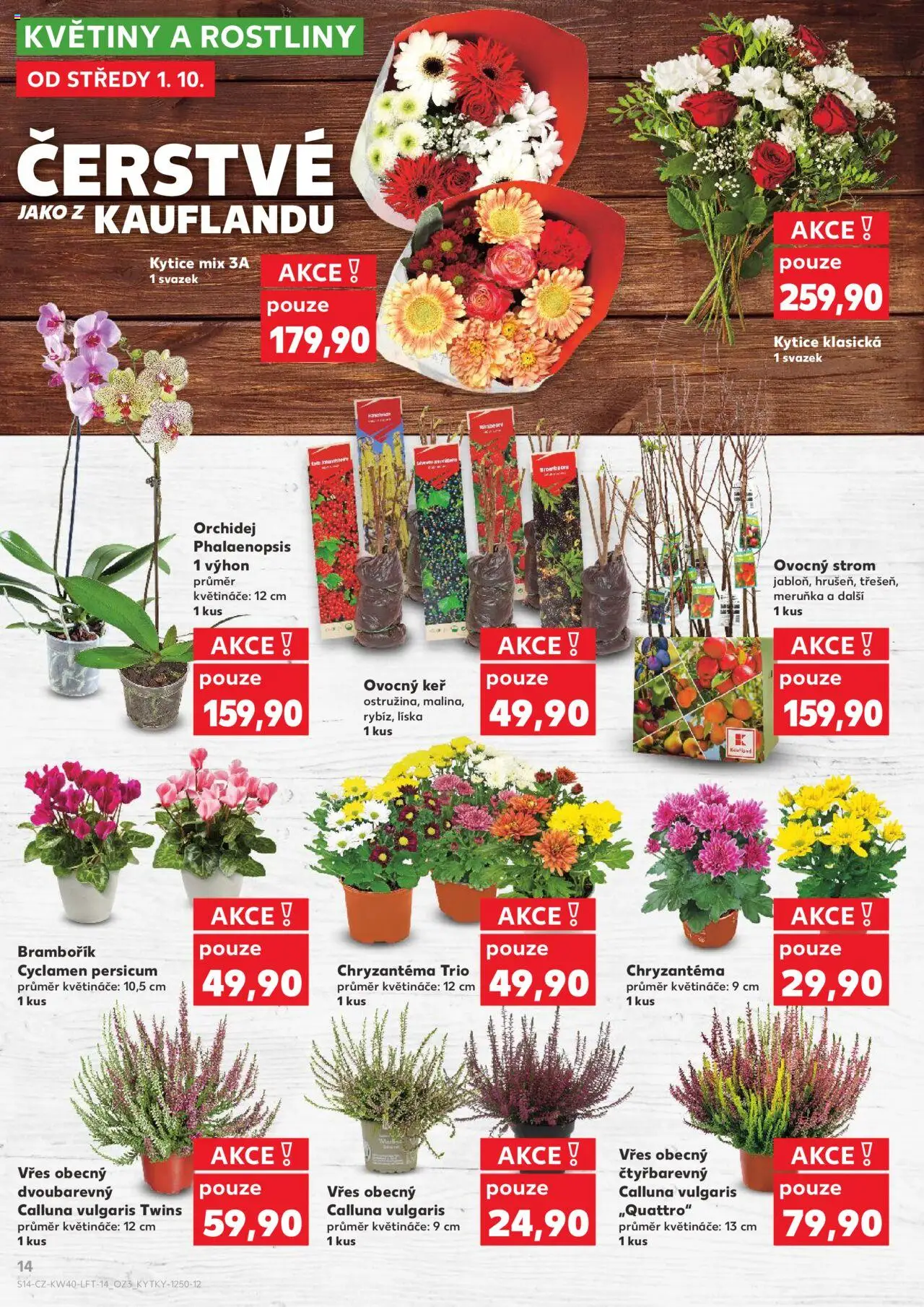 Kaufland leták od 01.10.2025 | Strana: 14 | Produkty: Vřes, Květináče, Kytice, Květiny
