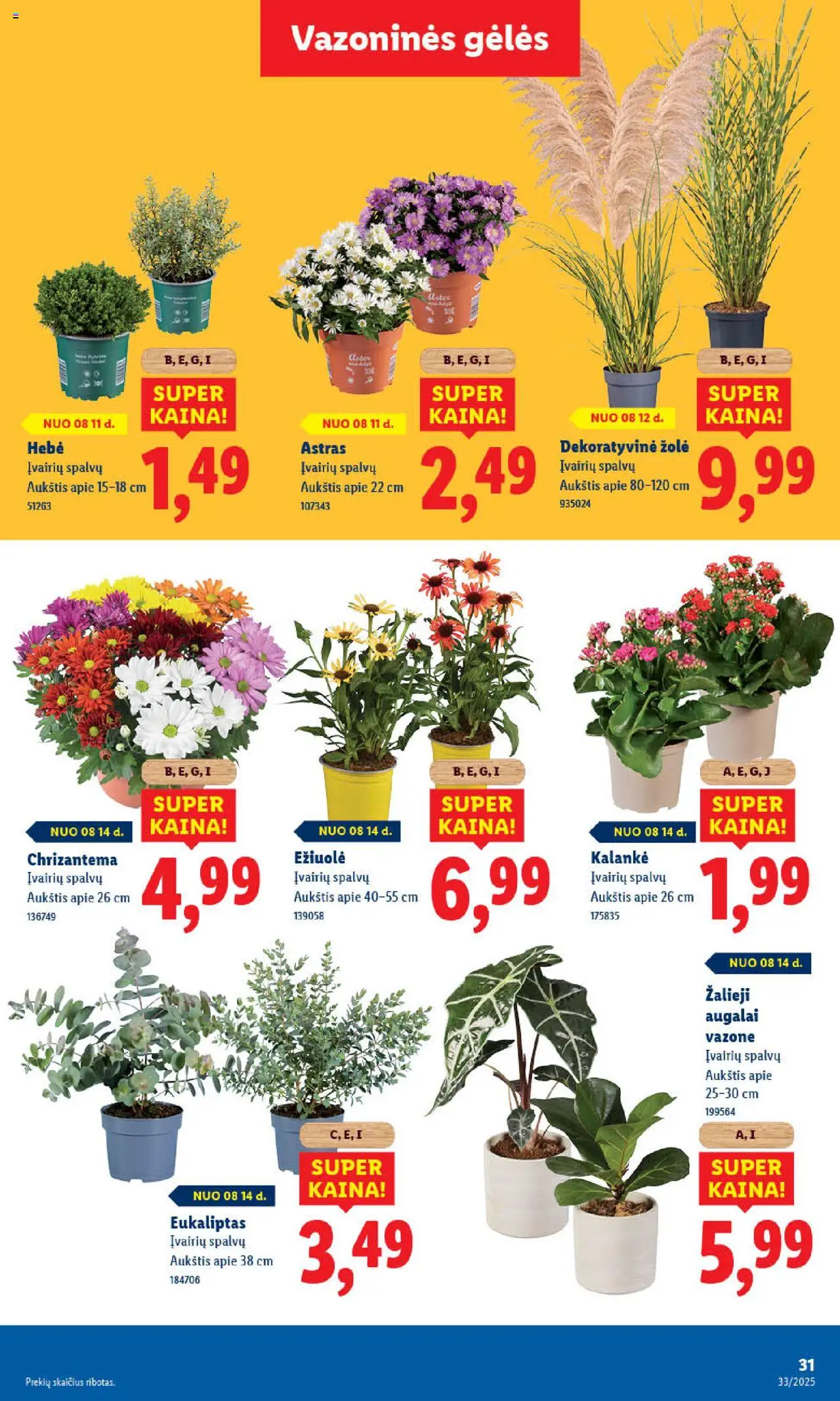 LIDL - Leidinys│galioja nuo 11.08.2025 | Puslapis: 43