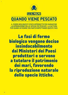 Volantino Metro del 30.06.2025 | Pagina: 16 | Prodotti: Polpo