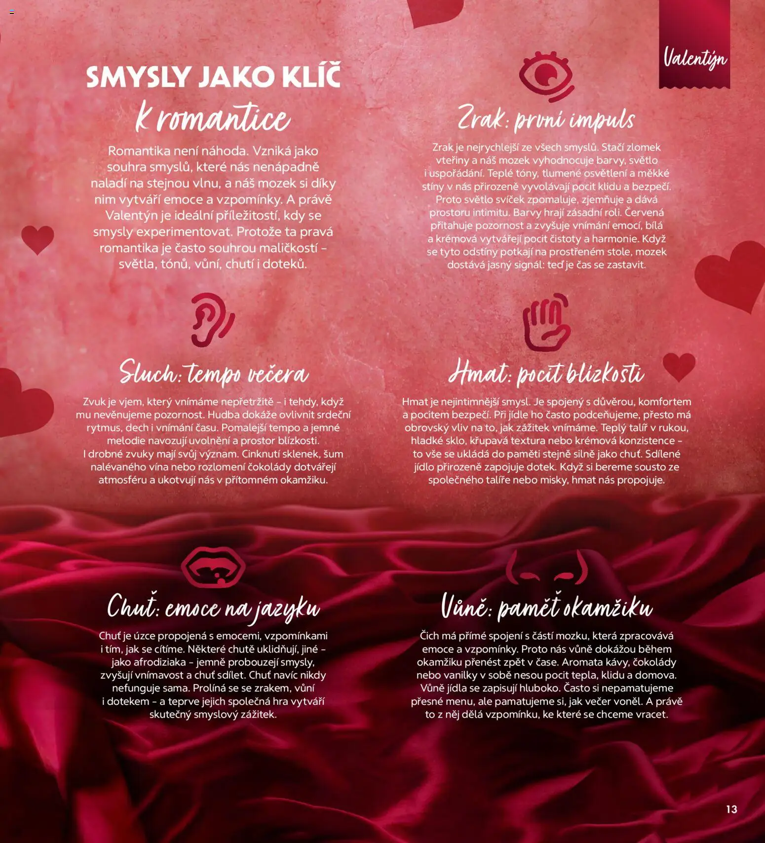 Albert magazín od 01.02.2026 | Strana: 13 | Produkty: Talíře, Hra, Talíř, Barvy