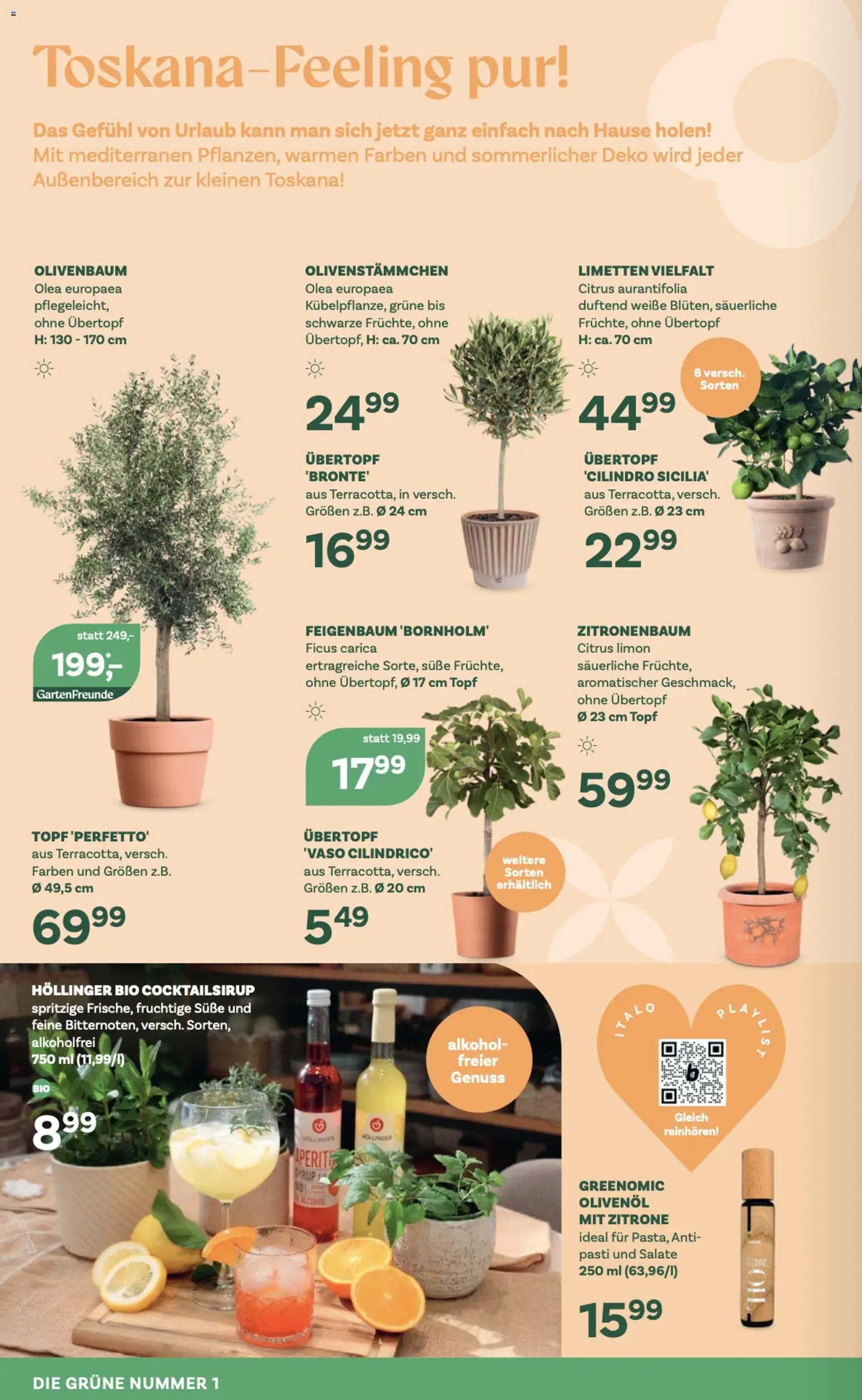 bellaflora Flugblatt gültig ab 23.04.2026 | Seite: 4 | Produkte: Zitrone