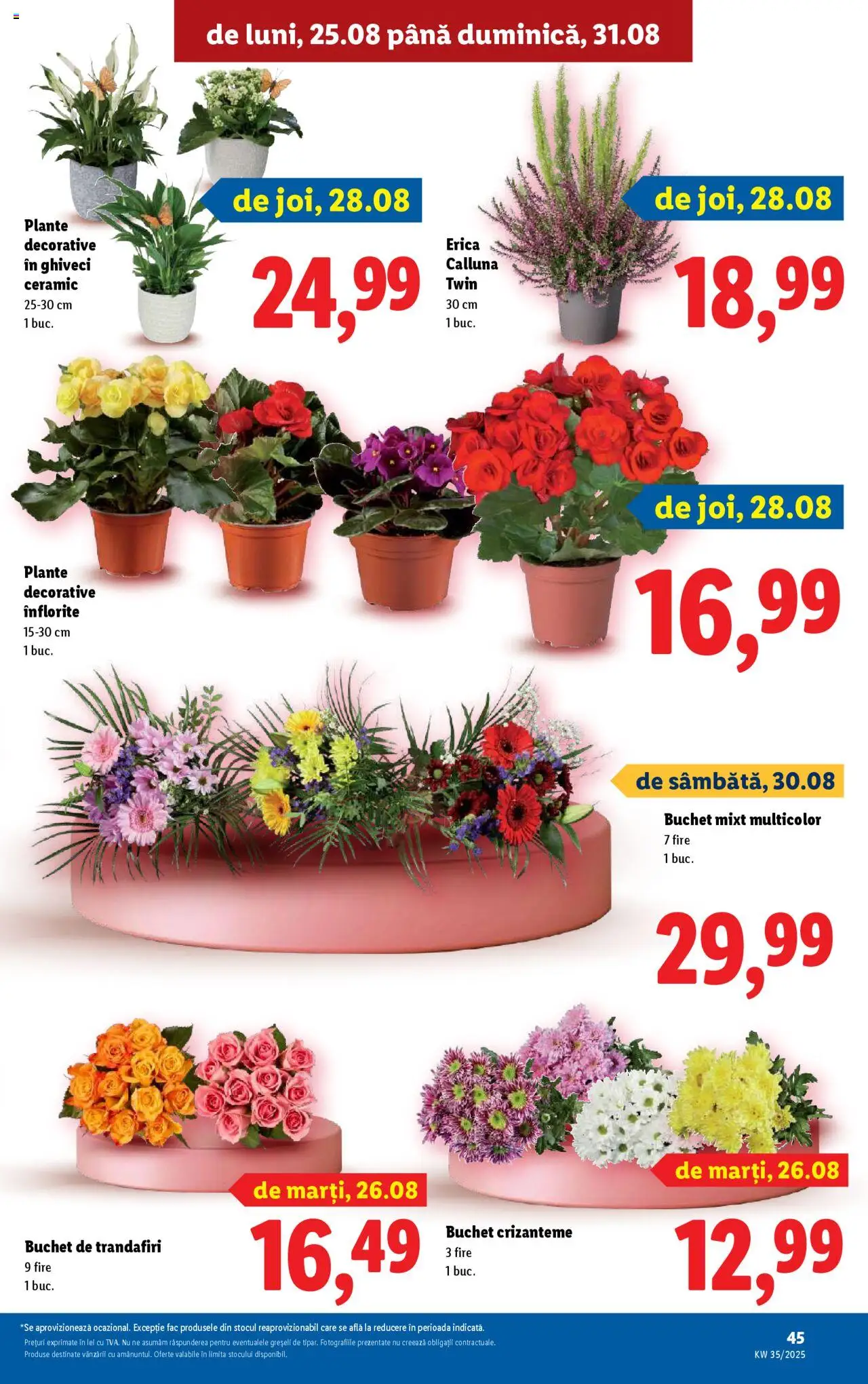 Catalog Lidl – valabil de la 25.08.2025 | Pagină: 45 | Produse: Ghiveci