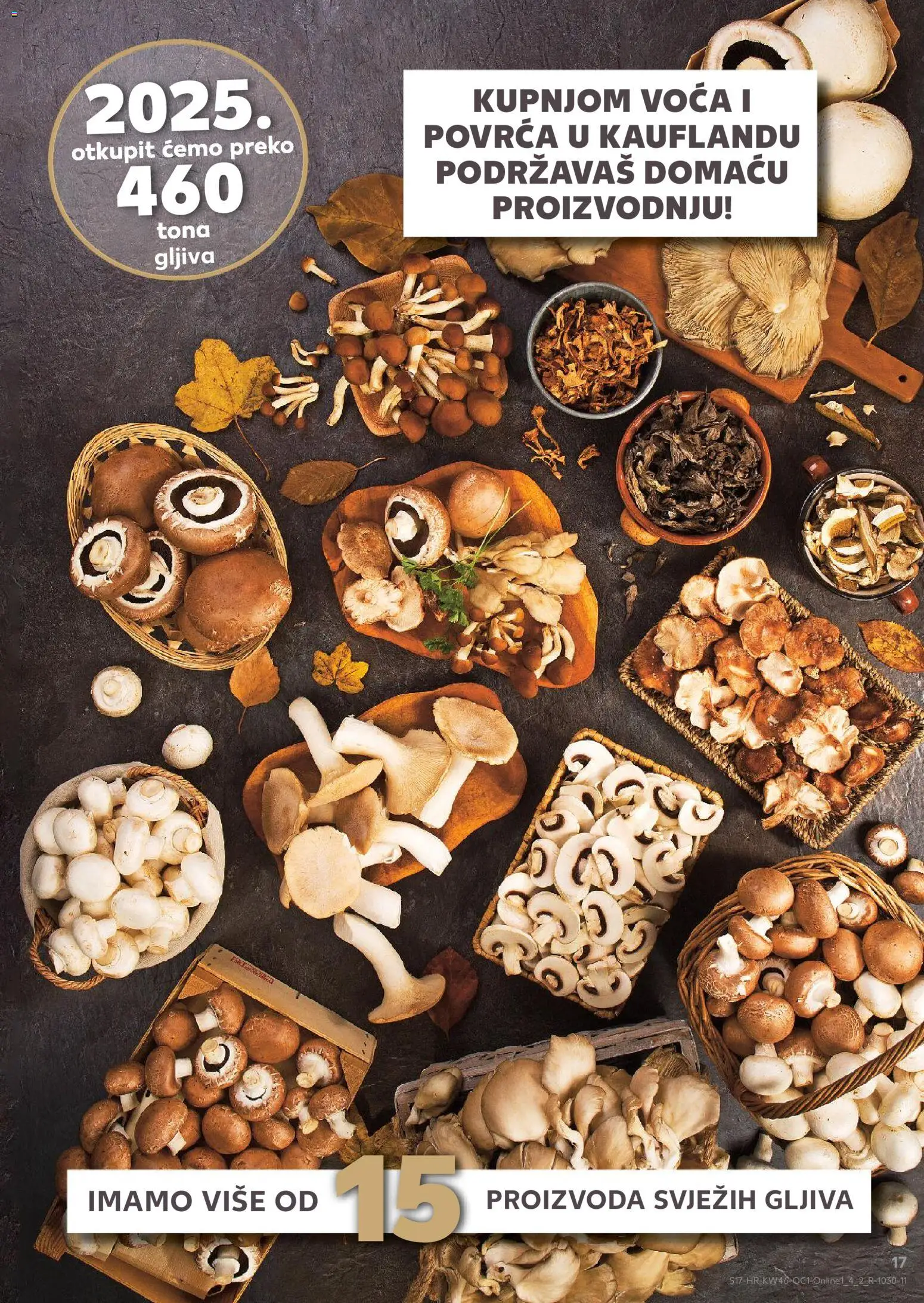 Kaufland katalog | vrijedi od 12.11.2025 | Stranica: 17