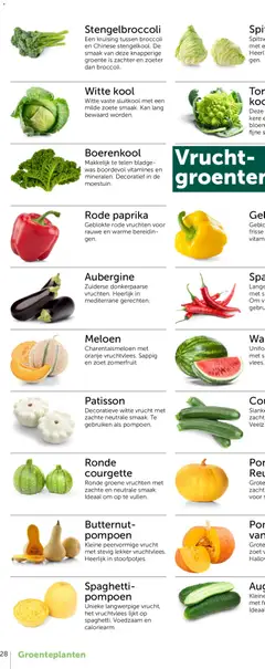 Aveve Groente- en kruidengids - Voorbeeld van een folder van Aveve, geldig van 23.02.2026 | Pagina: 54 | Producten: Was, Pompoen, Courgette, Broccoli