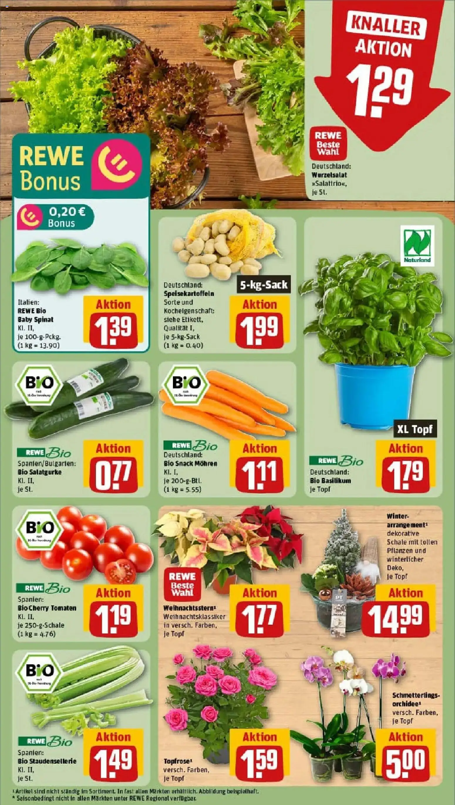 Rewe prospekt Trossingen	 – gültig ab 10.11.2025 | Seite: 7 | Produkte: Orchidee, Tomaten, Mohren