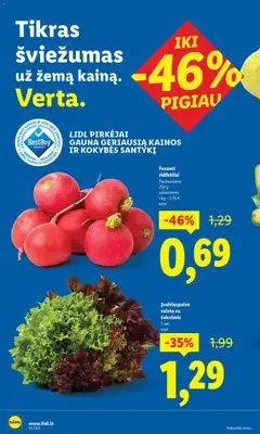 LIDL leidinys galioja nuo 11.12.2025 | Puslapis: 6 | Prekių: Salota