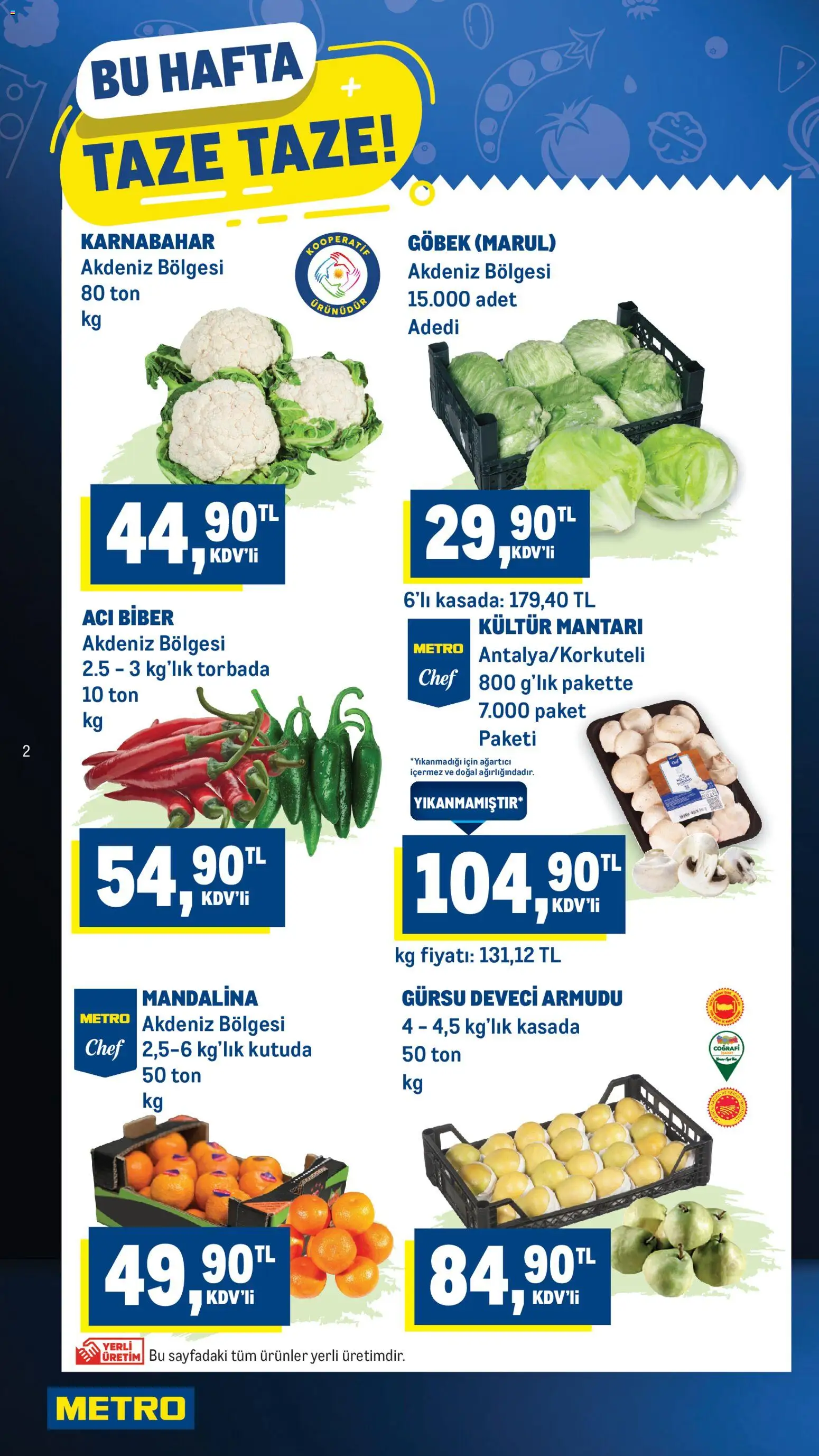 Metro Katalog - 14.01.2026 tarihinden itibaren geçerlidir | Sayfa: 2 | Ürünler: Mandalina, Acı biber, Marul, Karnabahar