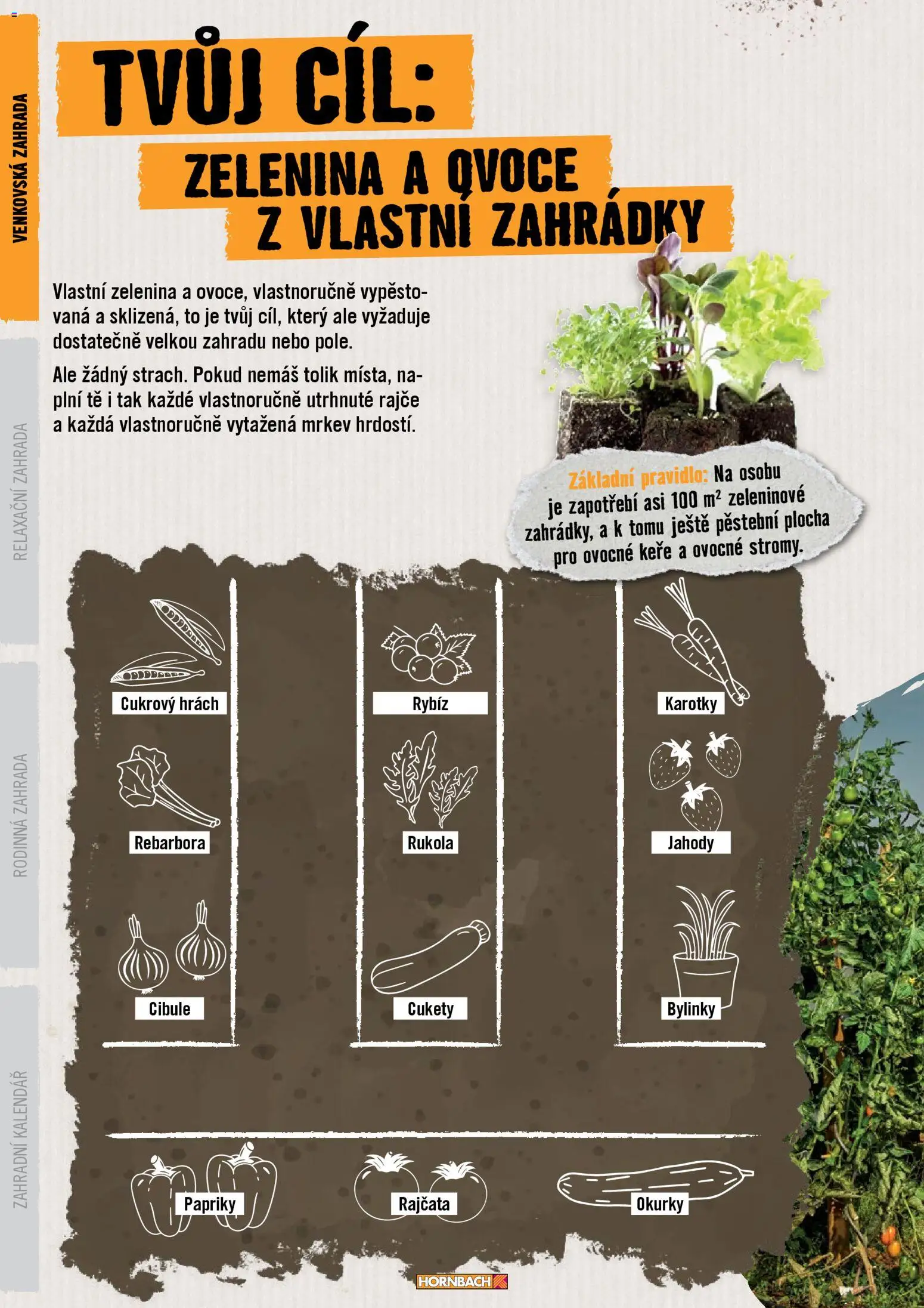 HORNBACH leták - Zahrada od 01.01.2026 | Strana: 6 | Produkty: Hrách, Ovoce, Zelenina, Cibule