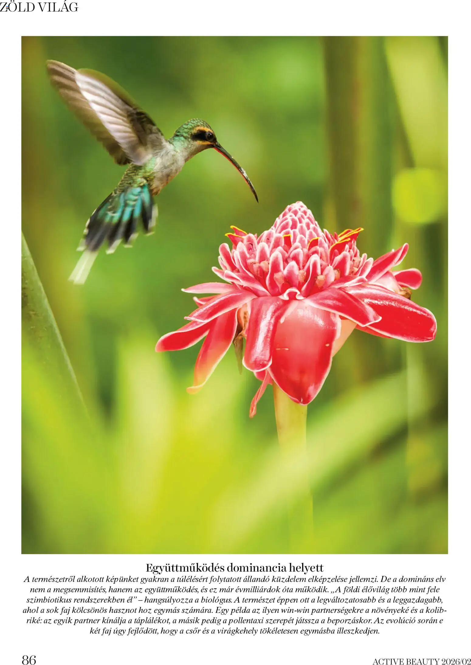 DM Drogerie Markt akciós ujság - amely érvényes a következő dátumtól: 06.02.2026 | Oldal: 86