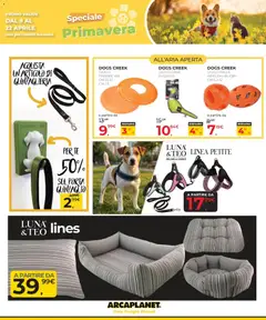 Anteprima del volantino Arcaplanet volantino valido a partire dal 09.04.2026 | Pagina: 31 | Prodotti: Tè, Gioco