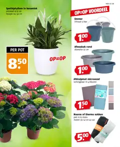 Poiesz - Folder week 5 - Voorbeeld van een folder van Poiesz, geldig van 25.01.2026 | Pagina: 35 | Producten: Sokken, Pot, Keramiek