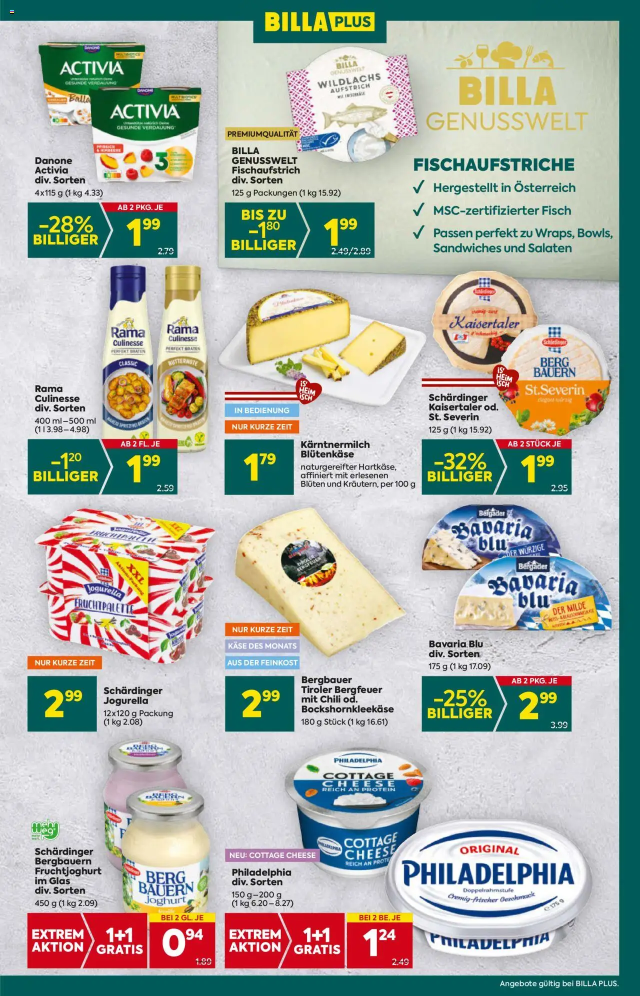Billa Plus Flugblatt - Oberösterreich gültig ab 16.10.2025 | Seite: 13 | Produkte: Chili, Käse, Joghurt, Fisch