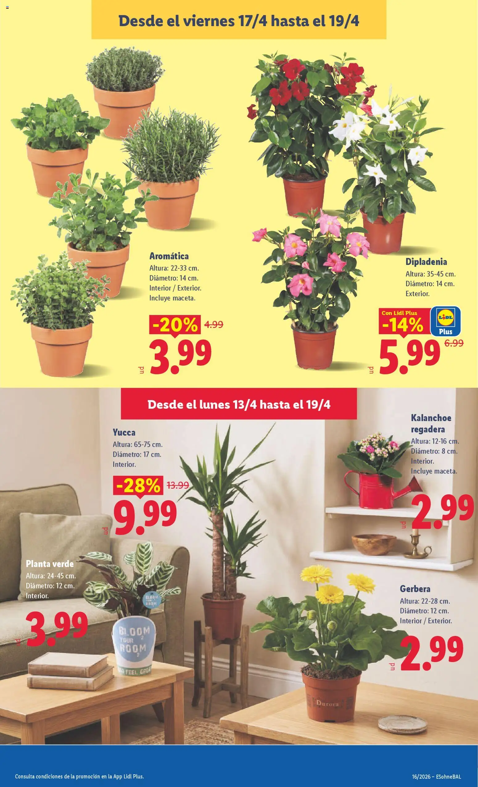 Lidl folleto │ válido desde el 13.04.2026 | Página: 47 | Productos: Regadera