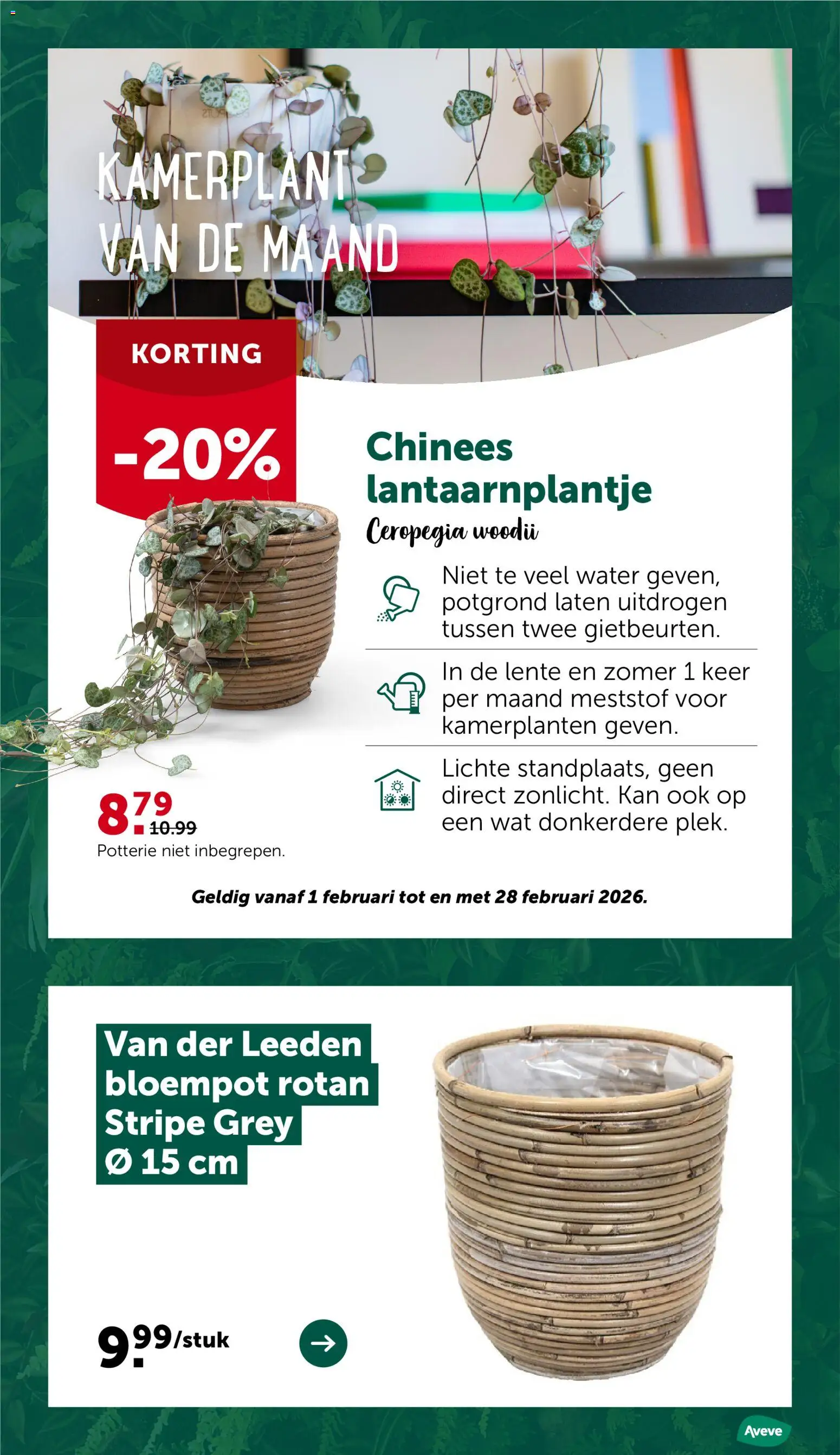 {H1} | Pagina: 12 | Producten: Kamerplanten, Kan