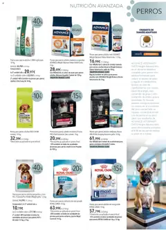 El Corte Inglés ofertas │ válido desde el 01.09.2025 | Página: 3 | Productos: Peso