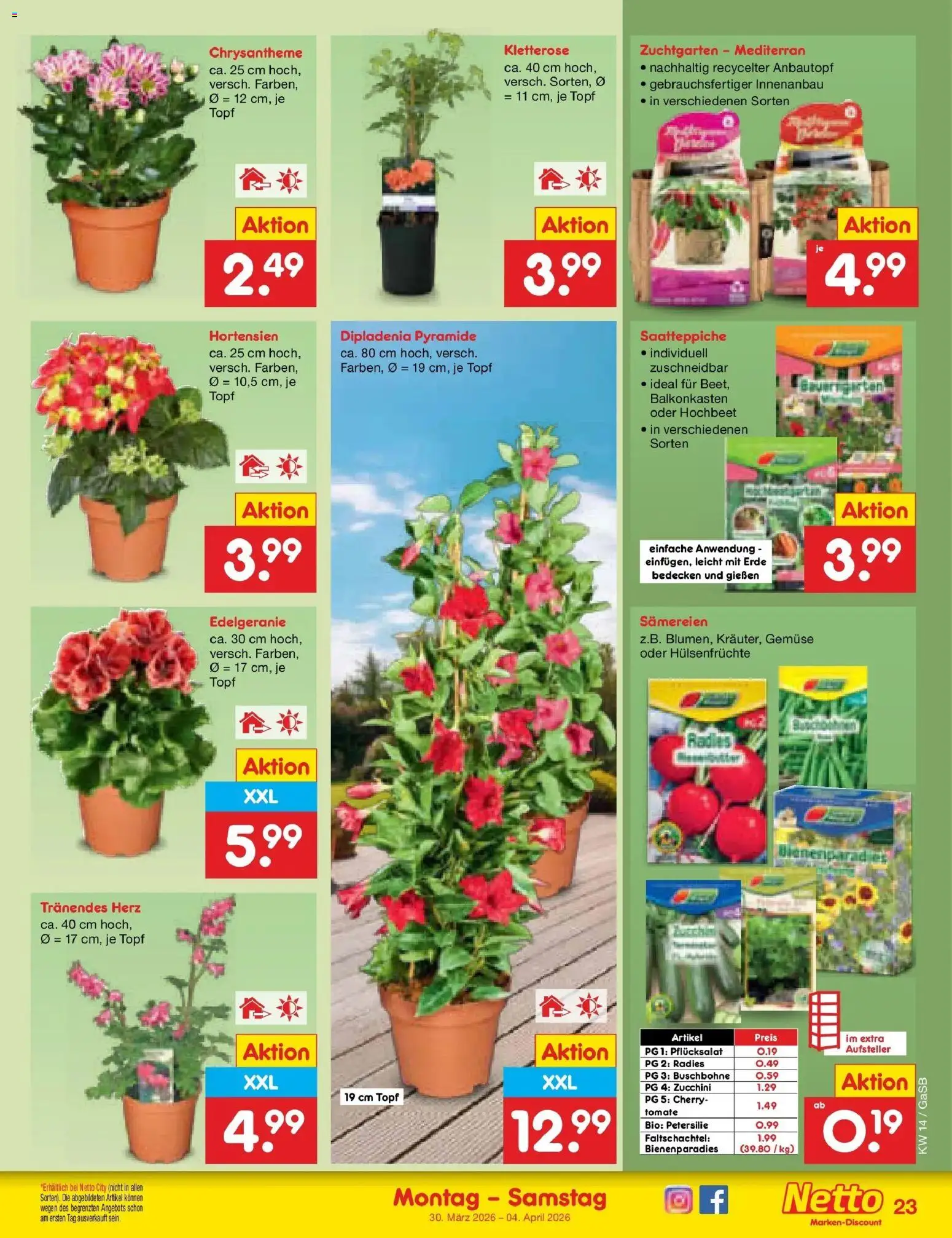 Netto Marken-Discount Prospekt Bremen-Lesum	 – gültig ab 30.03.2026 | Seite: 27 | Produkte: Hochbeet, Gemüse, Petersilie, Zucchini