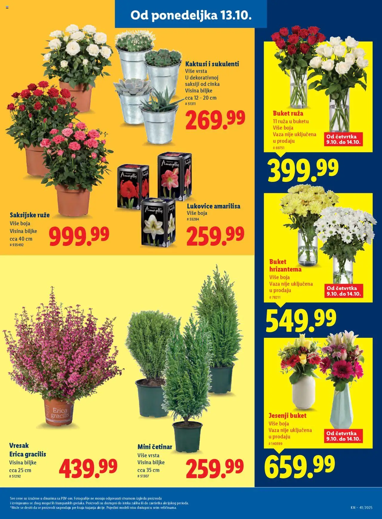 Lidl katalog - važi od 09.10.2025 | Strana: 47 | Proizvode: Vaza, Hrizantema, Ruze
