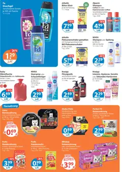 V-Markt - München ab 22.01.2026 gültig | Seite: 11 | Produkte: Sheba, Shampoo, Haarspray, Duschgel