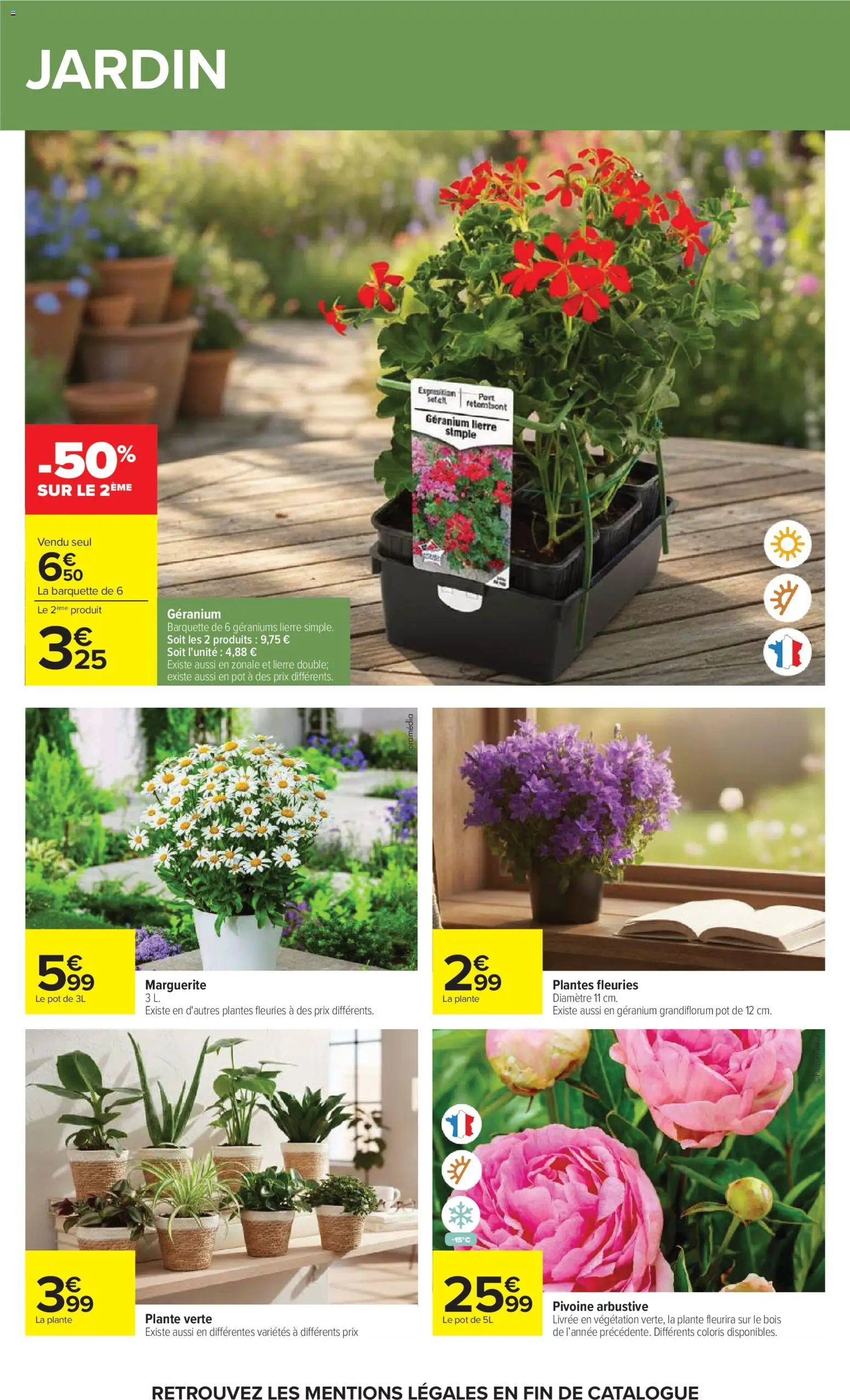 {H1} | Page: 59 | Produits: Plantes, Plante verte, Géranium