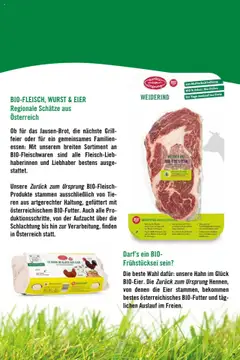Hofer Zurück zum Ursprung-Fibel gültig ab 08.10.2024 | Seite: 19 | Produkte: Wurst, Grill, Eier