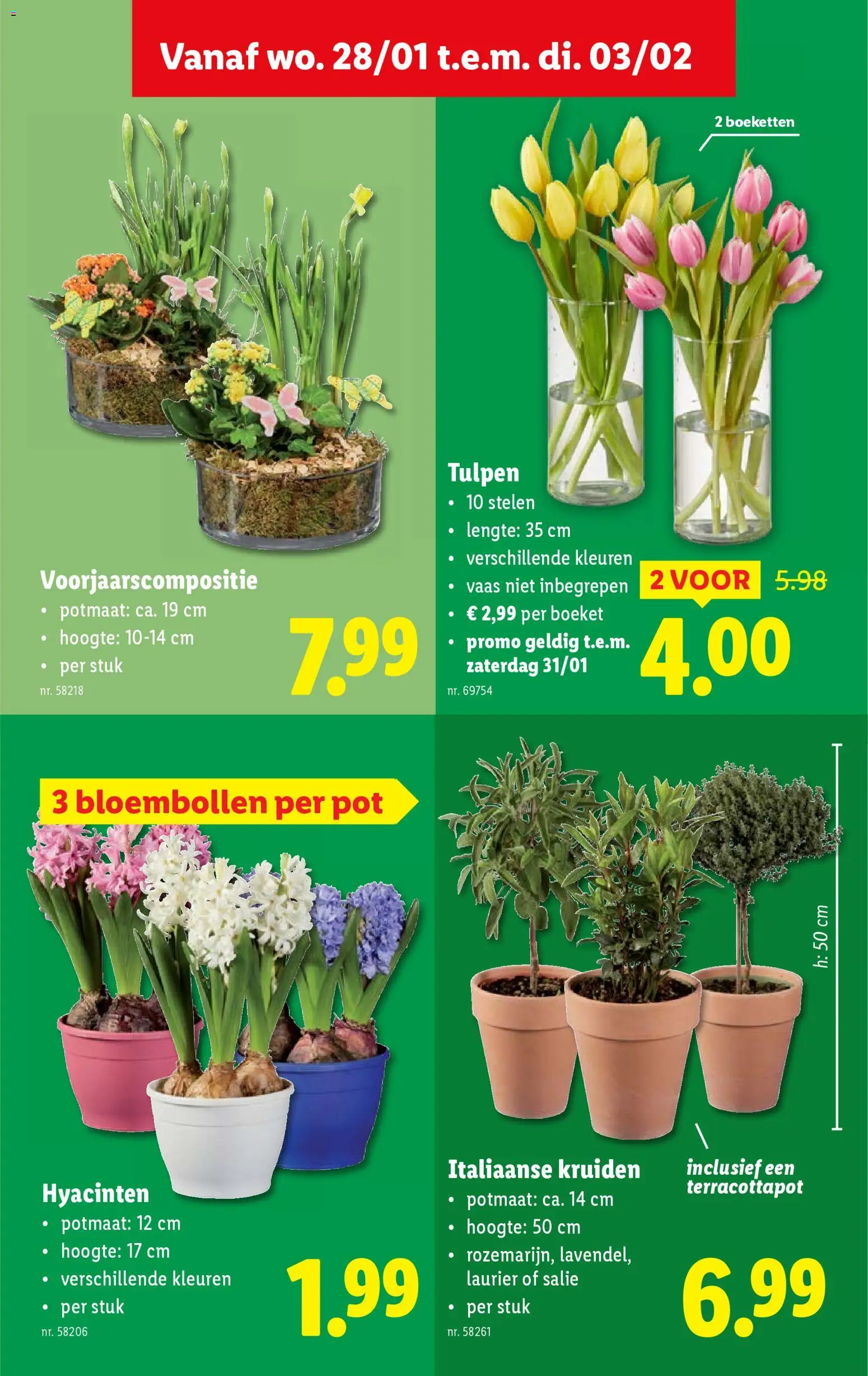 {H1} | Pagina: 46 | Producten: Vaas, Pot