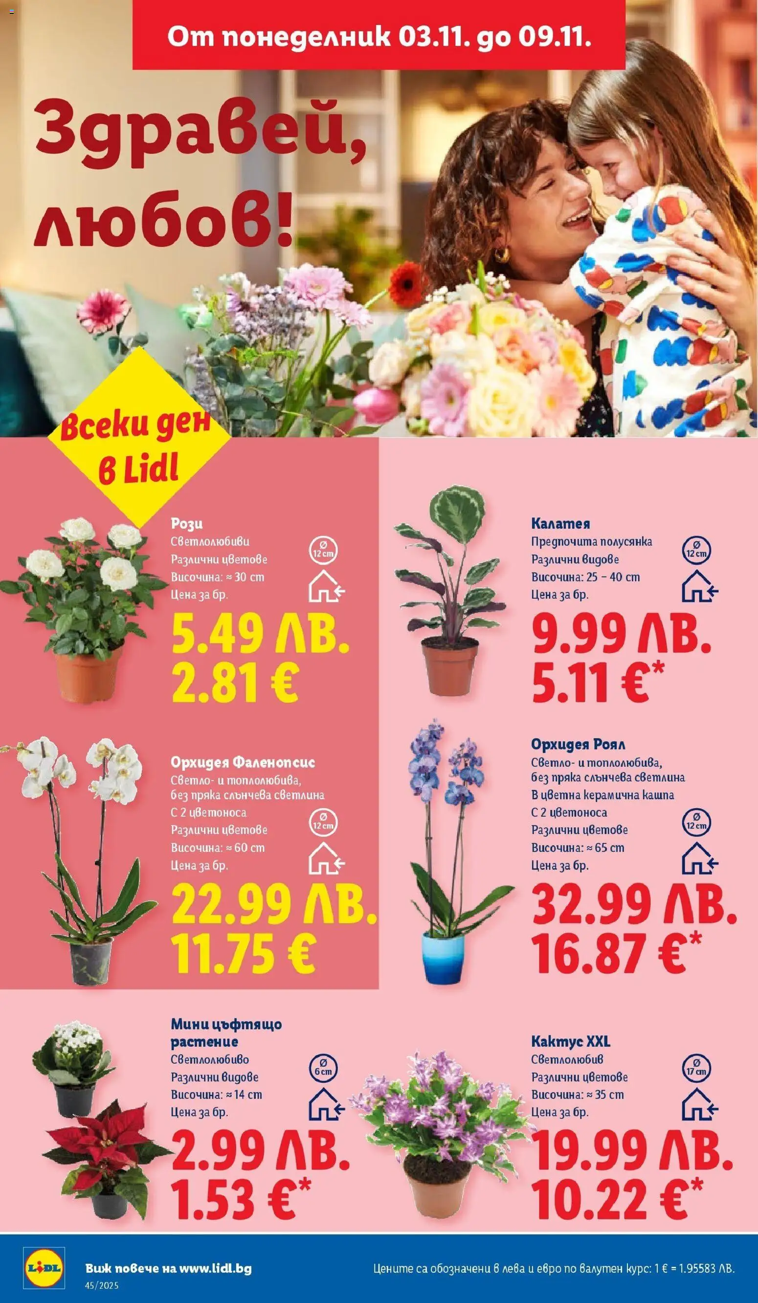 {H1} | Страница: 48 | Продукти: Орхидея