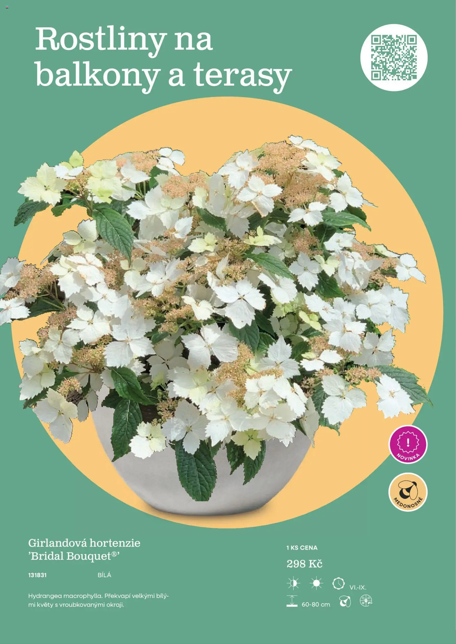 Starkl katalog od 25.02.2026 | Strana: 7 | Produkty: Rostliny