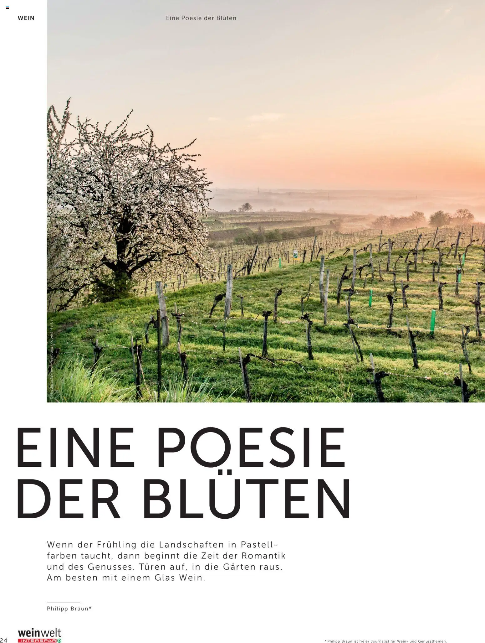 Interspar Meine Weinwelt Frühling 2026 gültig ab 05.03.2026 | Seite: 24 | Produkte: Wein