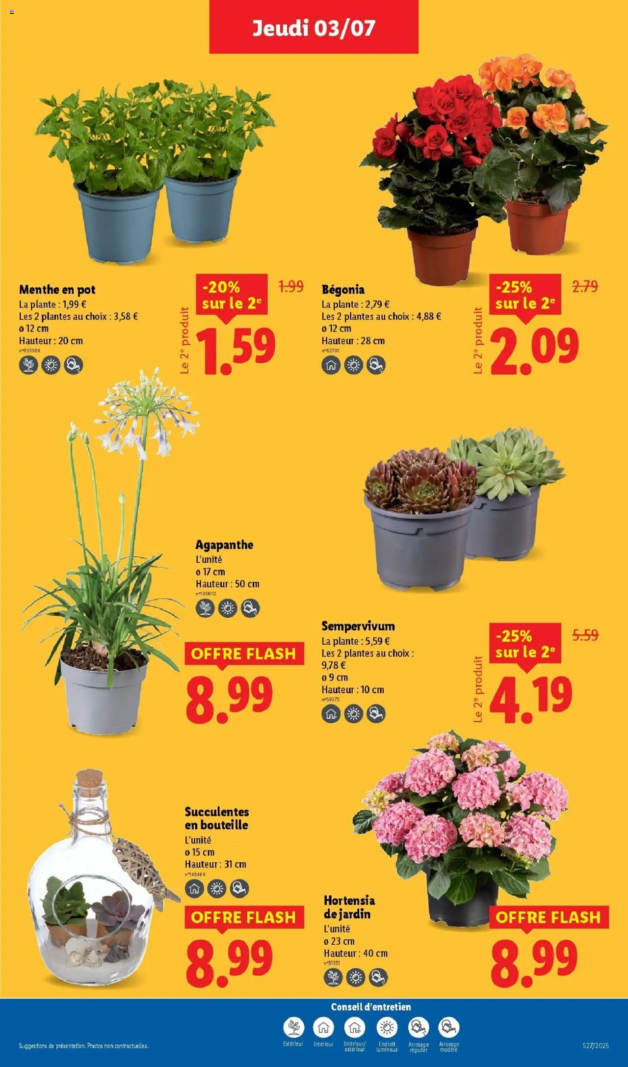  | Page: 27 | Produits: Hortensia, Menthe, Plantes