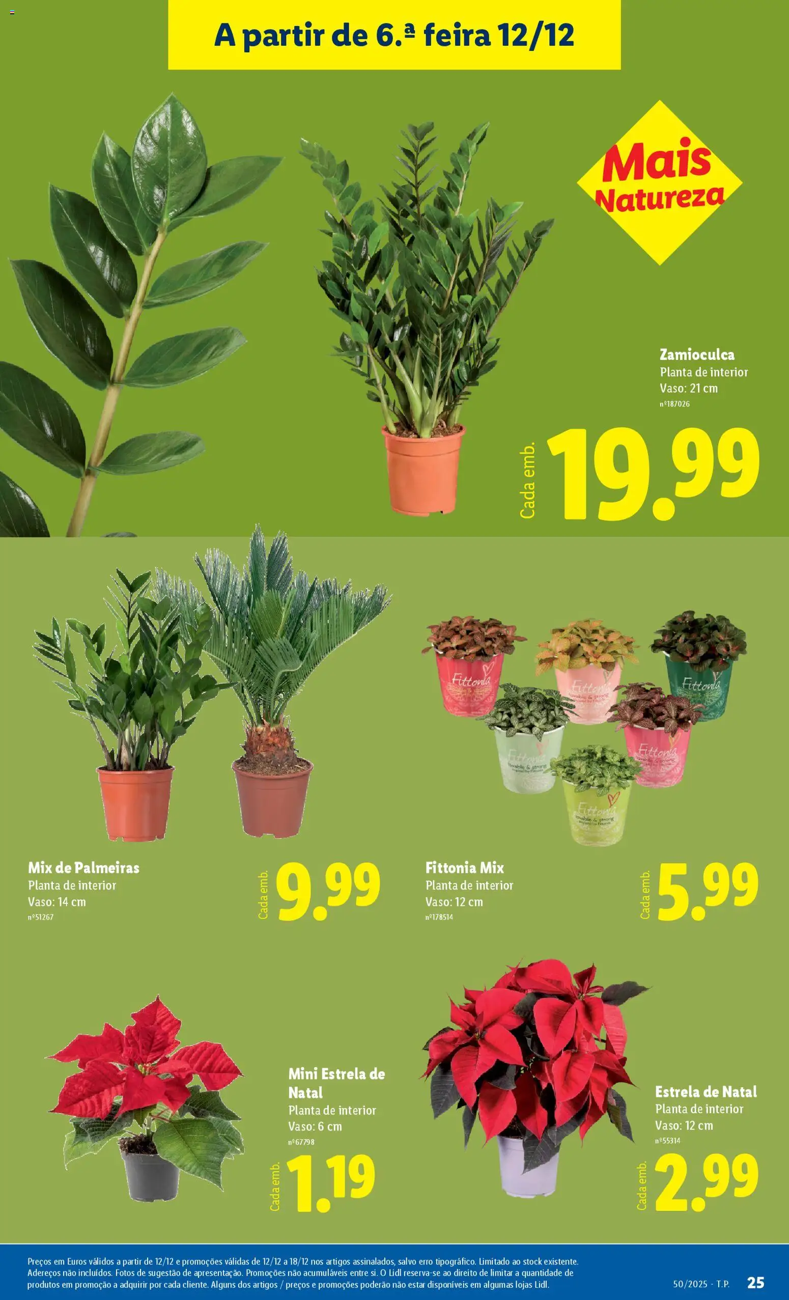 Lidl Novidades │ válido de 08.12.2025 | Página: 25 | Produtos: Vaso