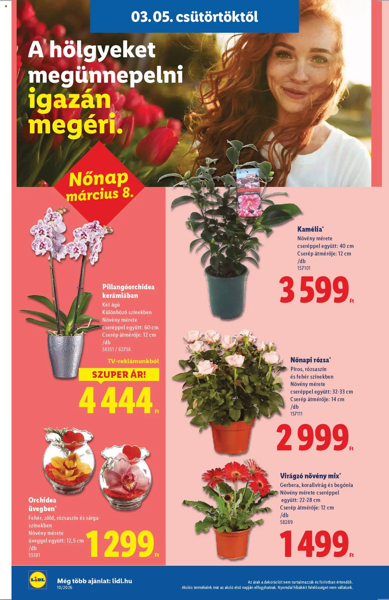 Lidl akciós ujság - amely érvényes a következő dátumtól: 05.03.2026 | Oldal: 14 | Termékek: Orchidea