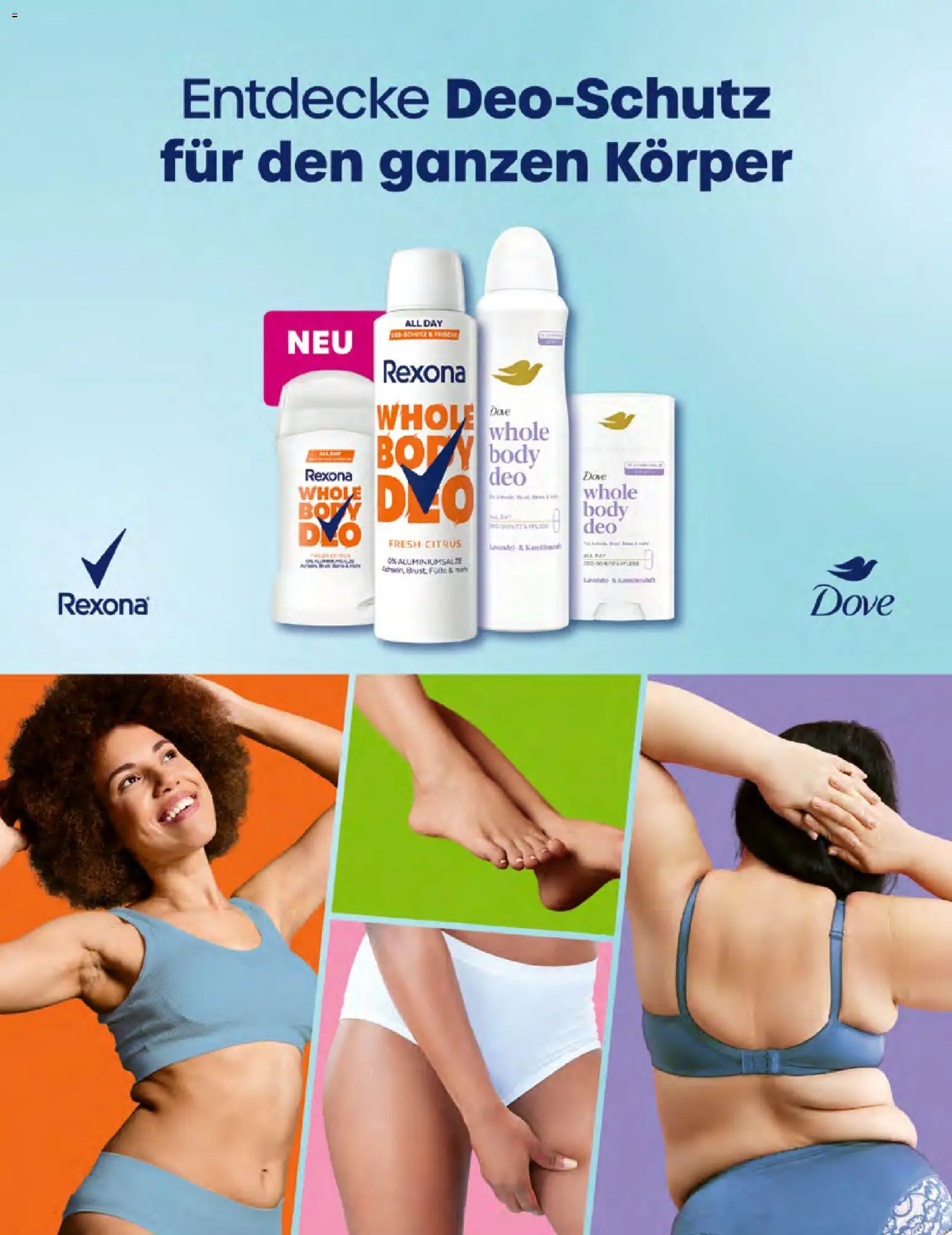Müller Lifestyle – gültig ab 12.03.2026 | Seite: 72 | Produkte: Lavendel