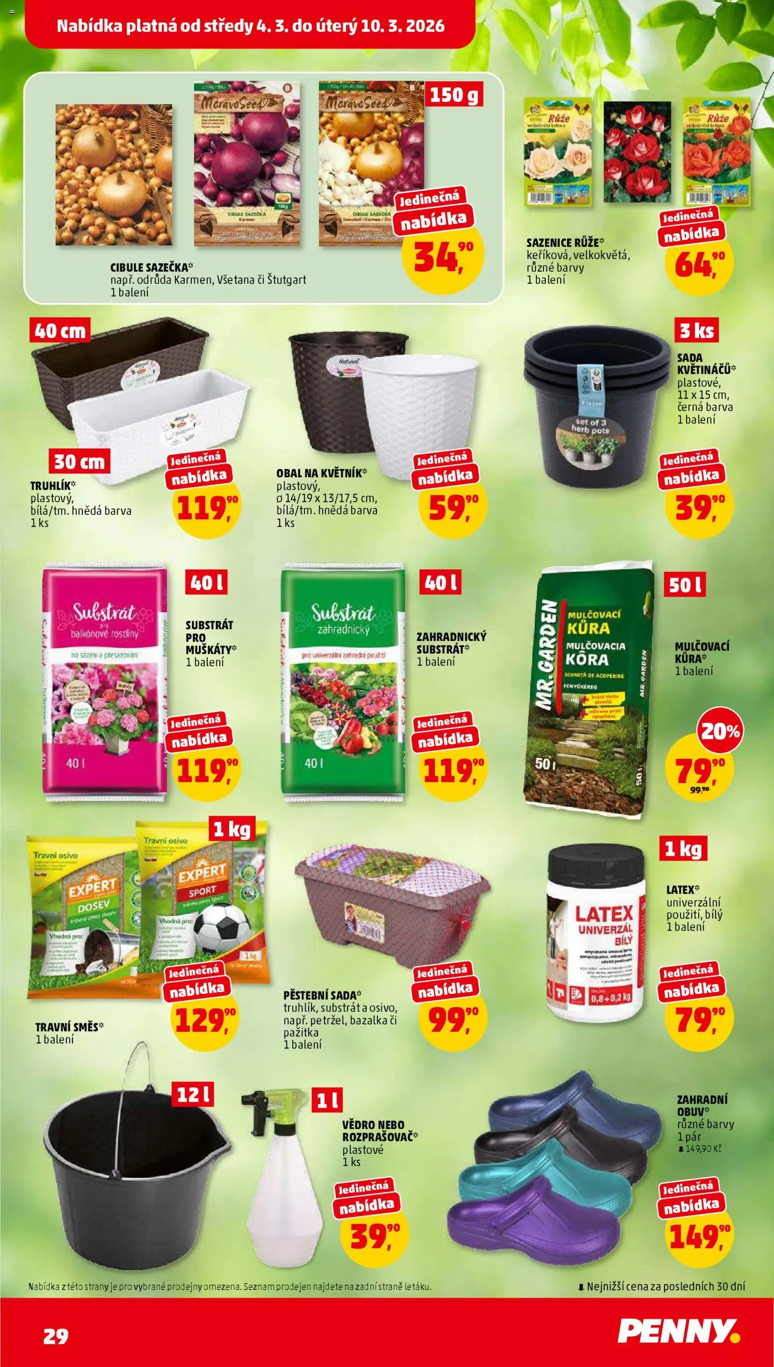 Penny Market leták od 04.03.2026 | Strana: 29 | Produkty: Bazalka, Rostliny, Barvy, Cibule