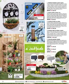 Náhled letáku Velký Košík katalog leden 2026 od 01.01.2026 | Strana: 34 | Produkty: Zahrada, Květiny, Květináč, Dekorace