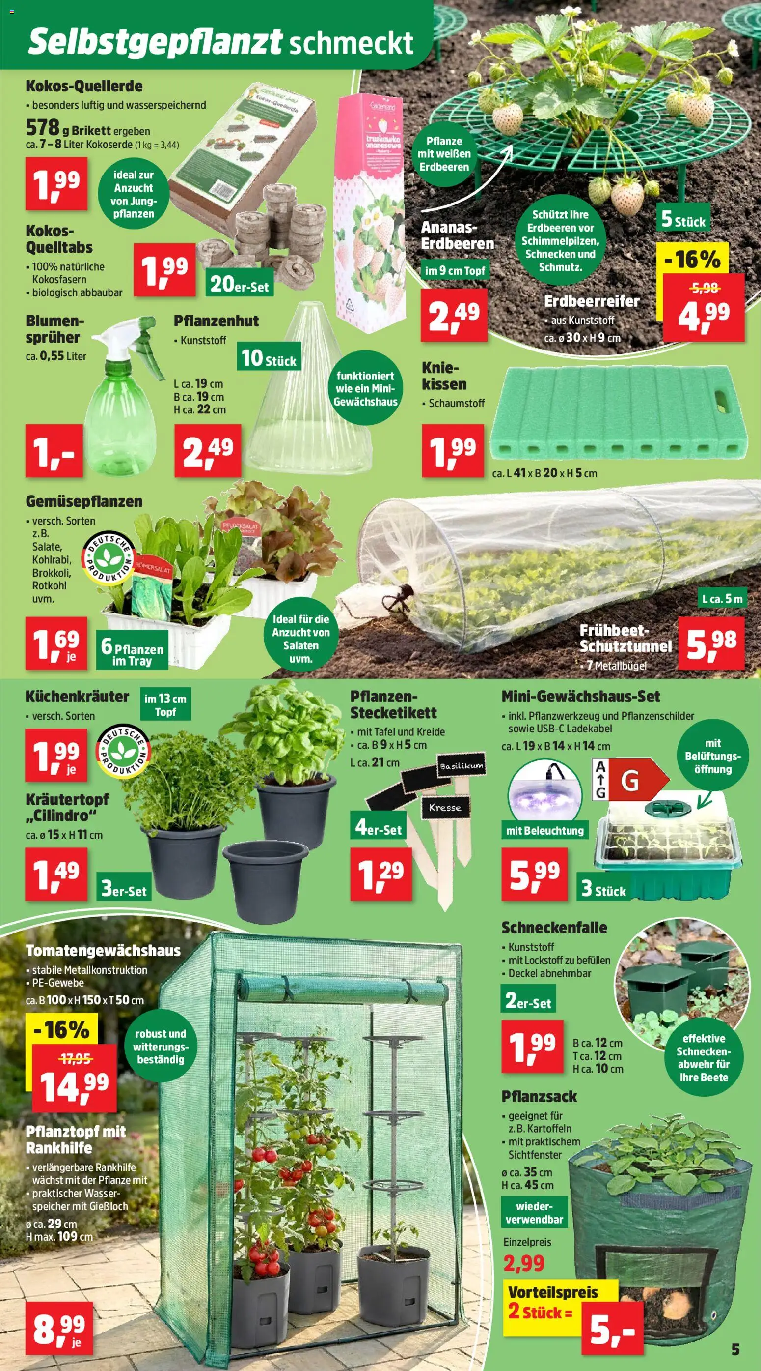 Thomas Philipps Prospekt – gültig ab 23.03.2026 | Seite: 9 | Produkte: Blumen, Ananas, Kartoffeln, Ladekabel