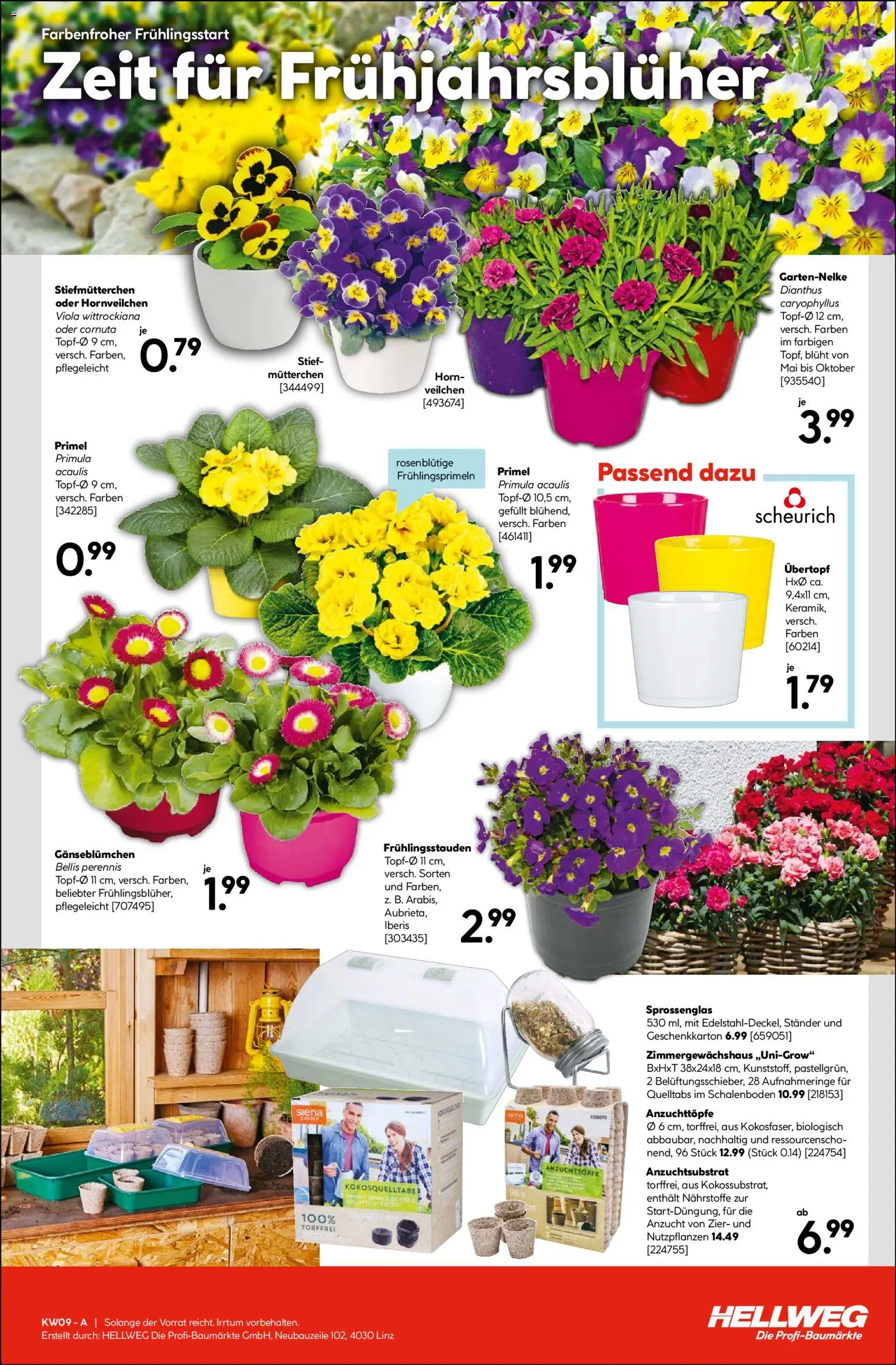 HELLWEG Flugblatt gültig ab 26.02.2026 | Seite: 15